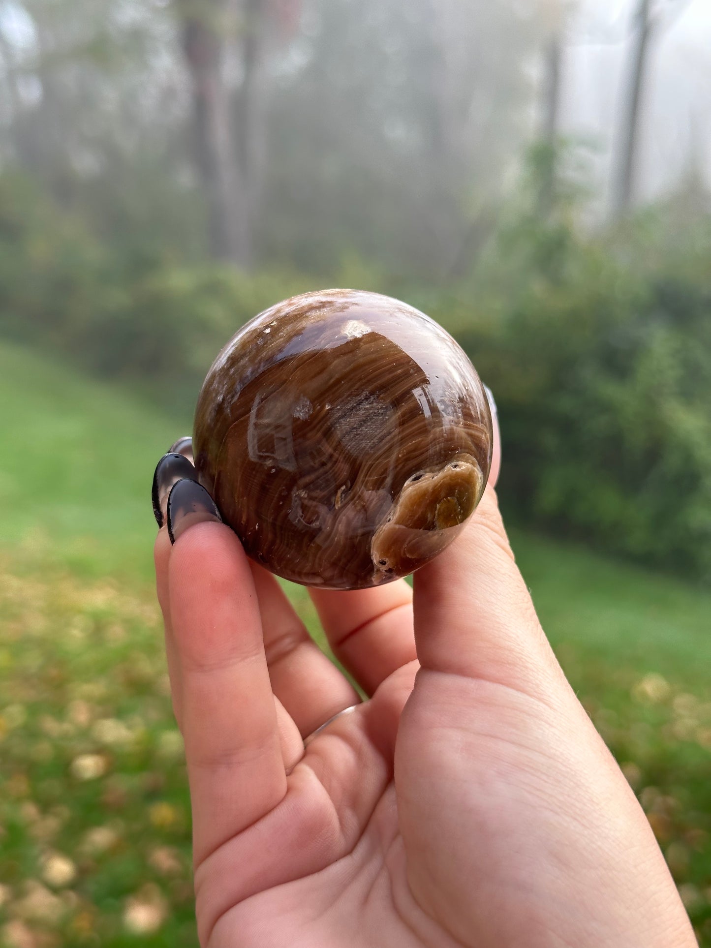 Chocolate calcite mushroom