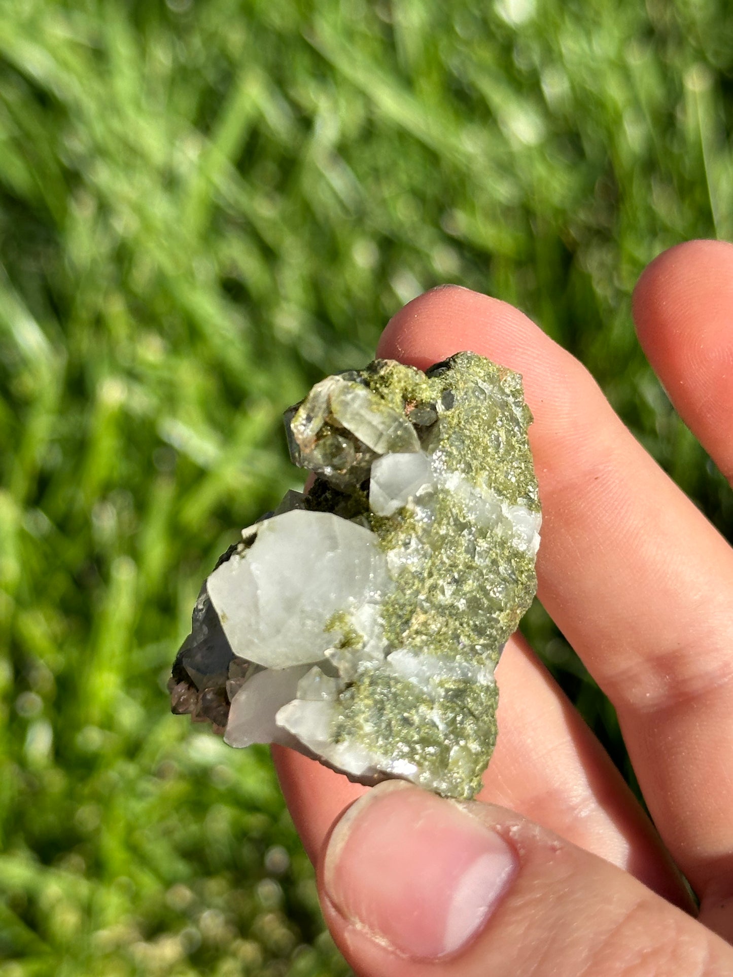 Forest epidote