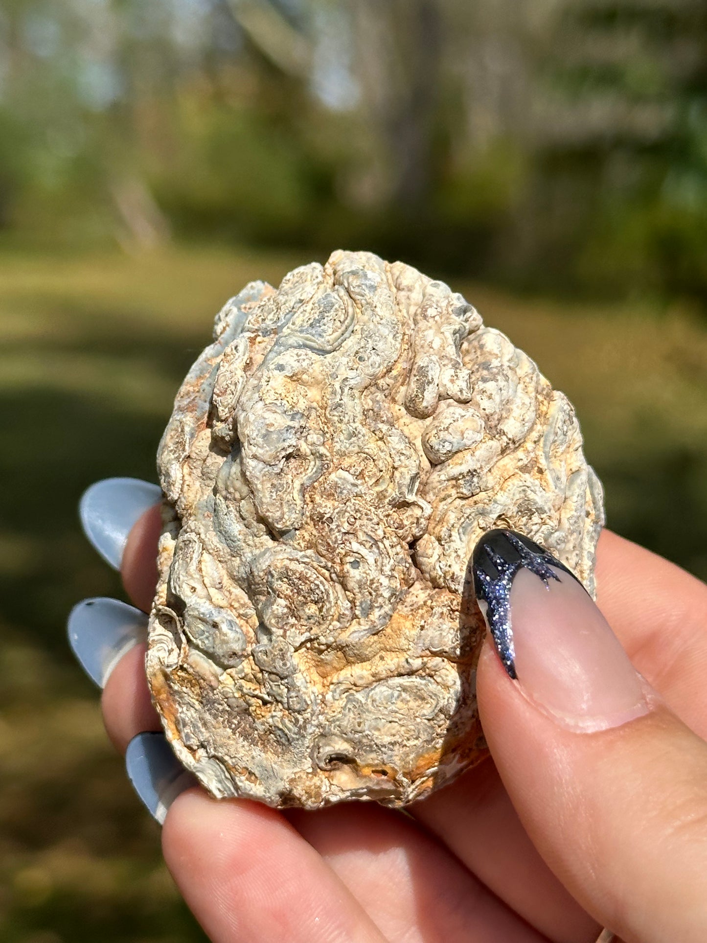 Oco Agate Geode