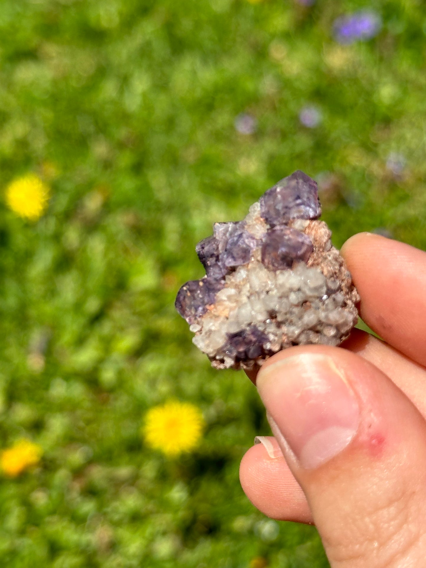 Colorado fluorite