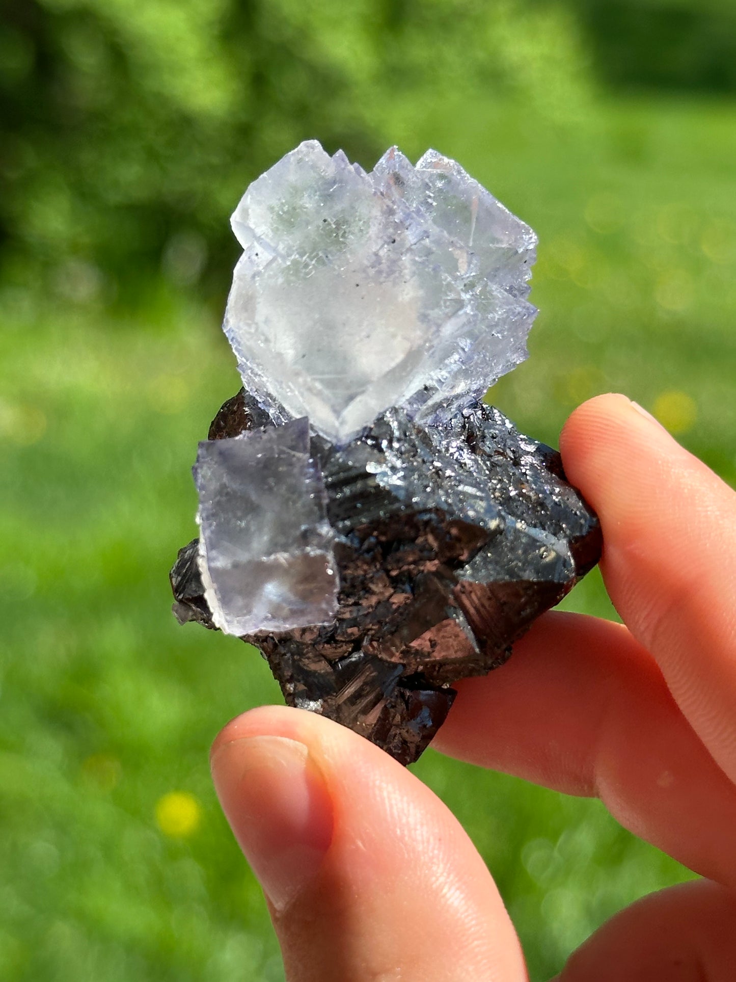 Elmwood fluorite on sphalerite
