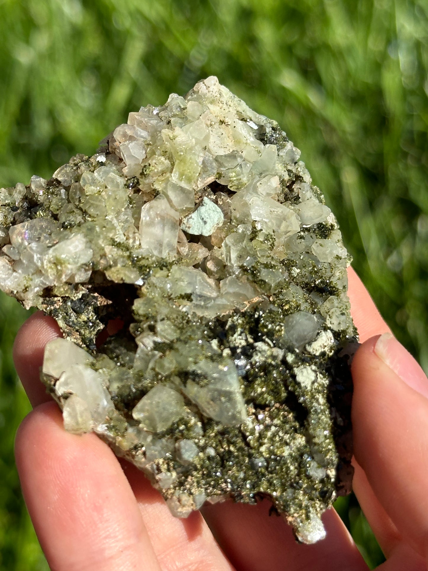 Forest Epidote