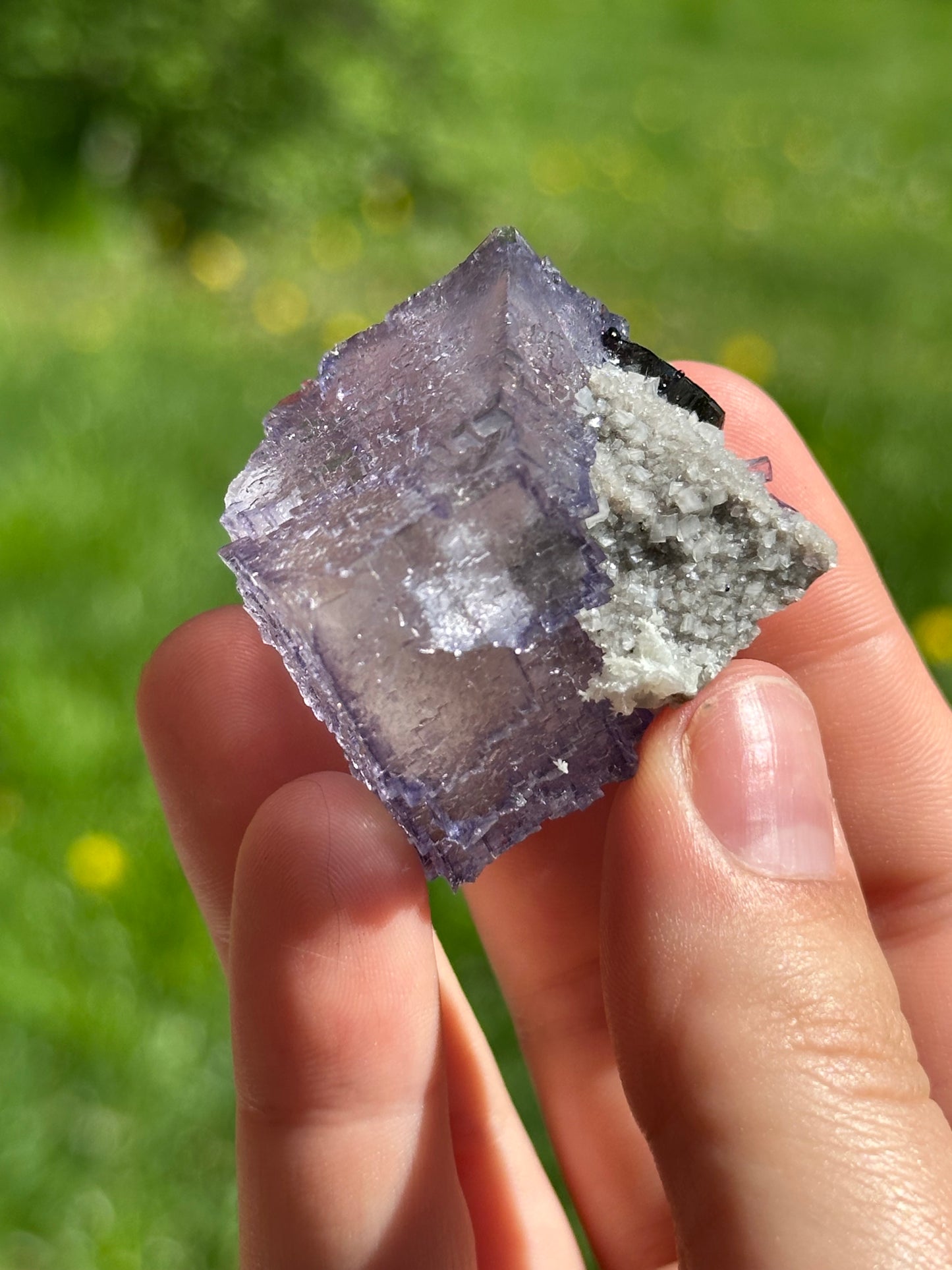 Elmwood fluorite with dolomite and sphalerite