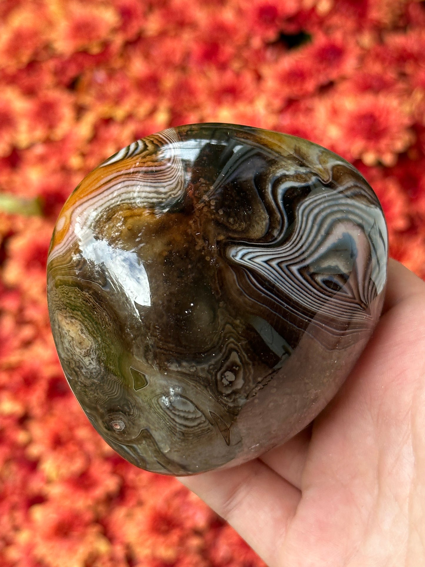 Sardonyx Palmstone