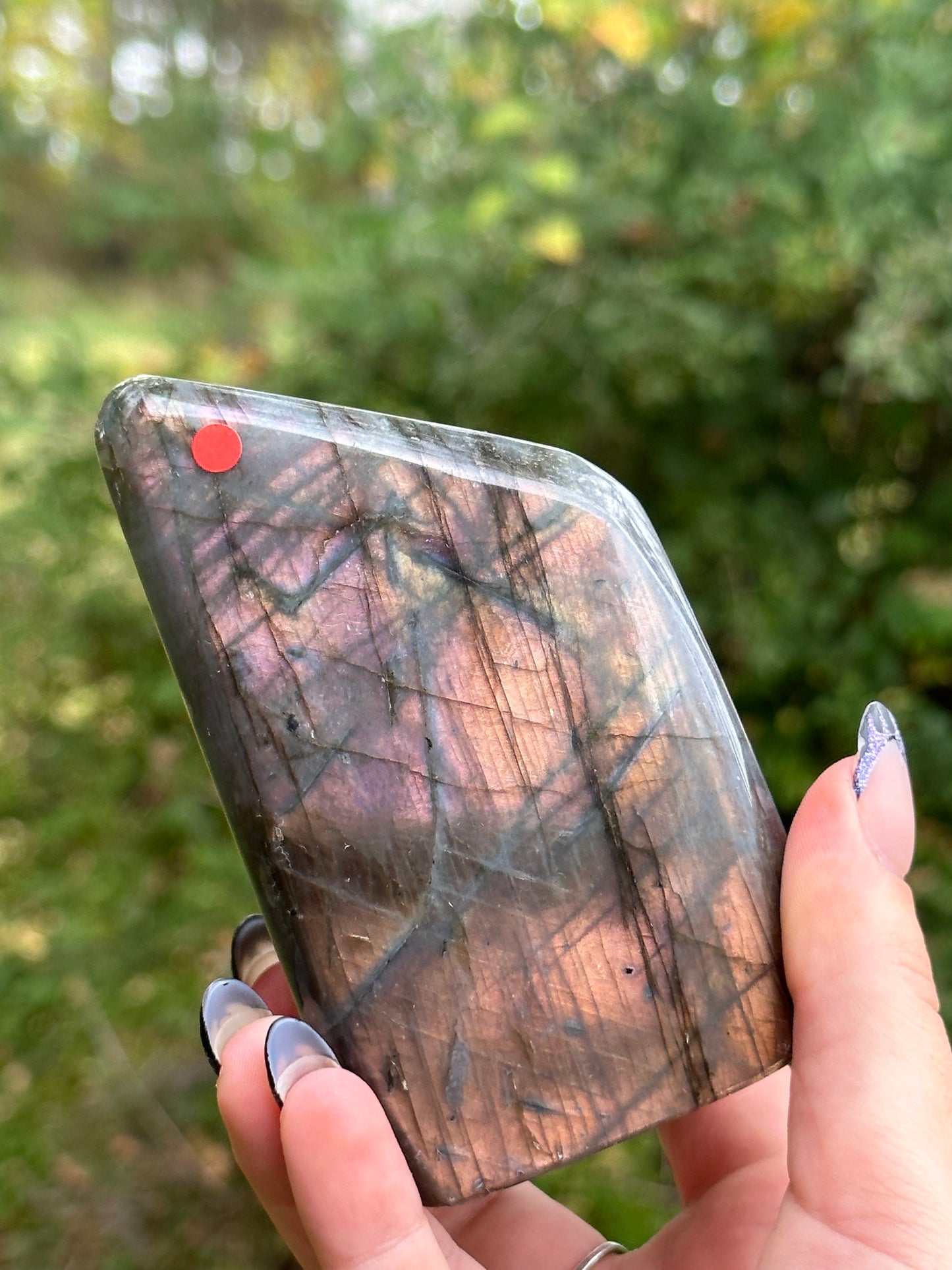 Labradorite Freeform