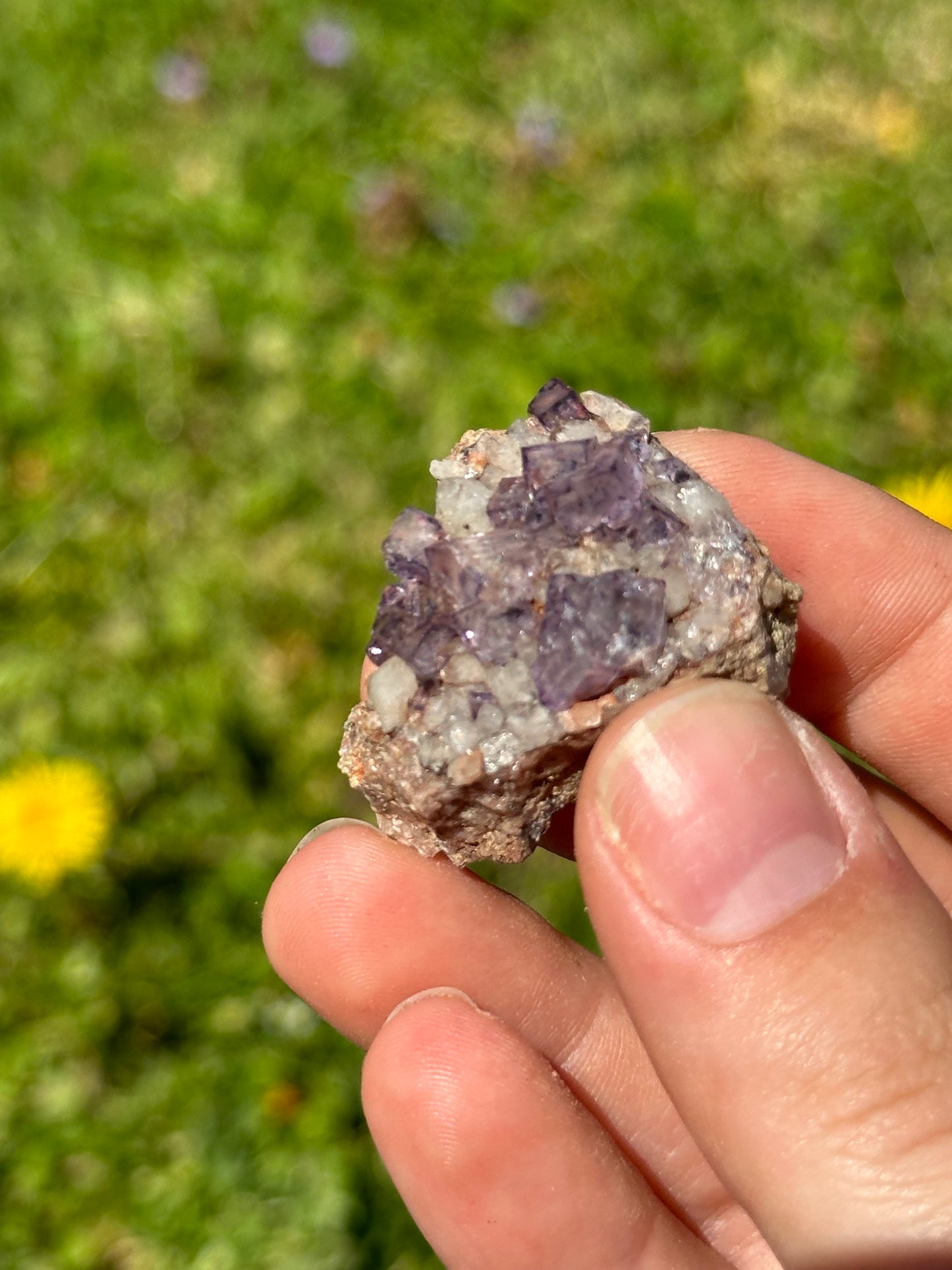 Colorado fluorite