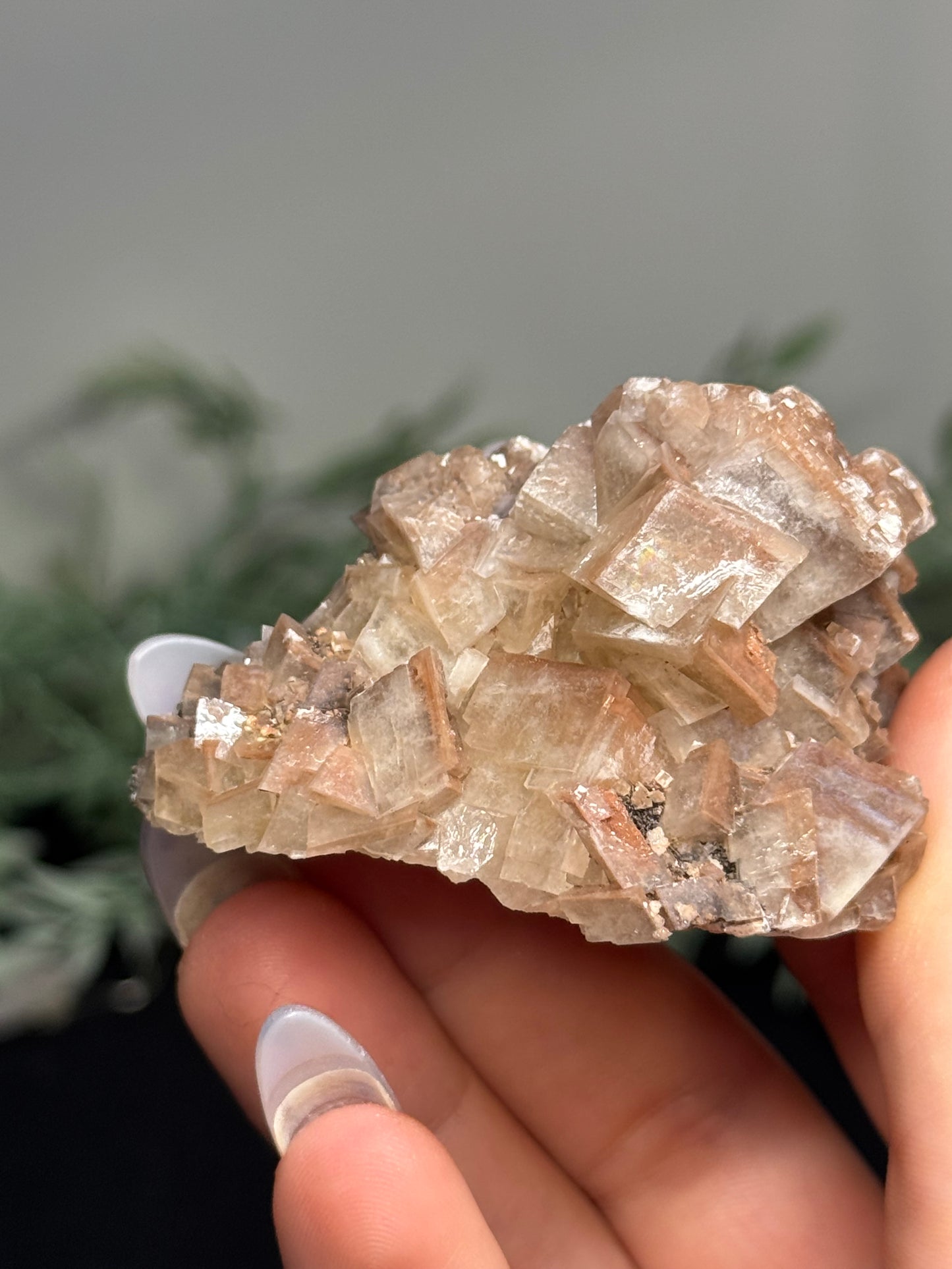 Chabazite, Mimetite - Mexico