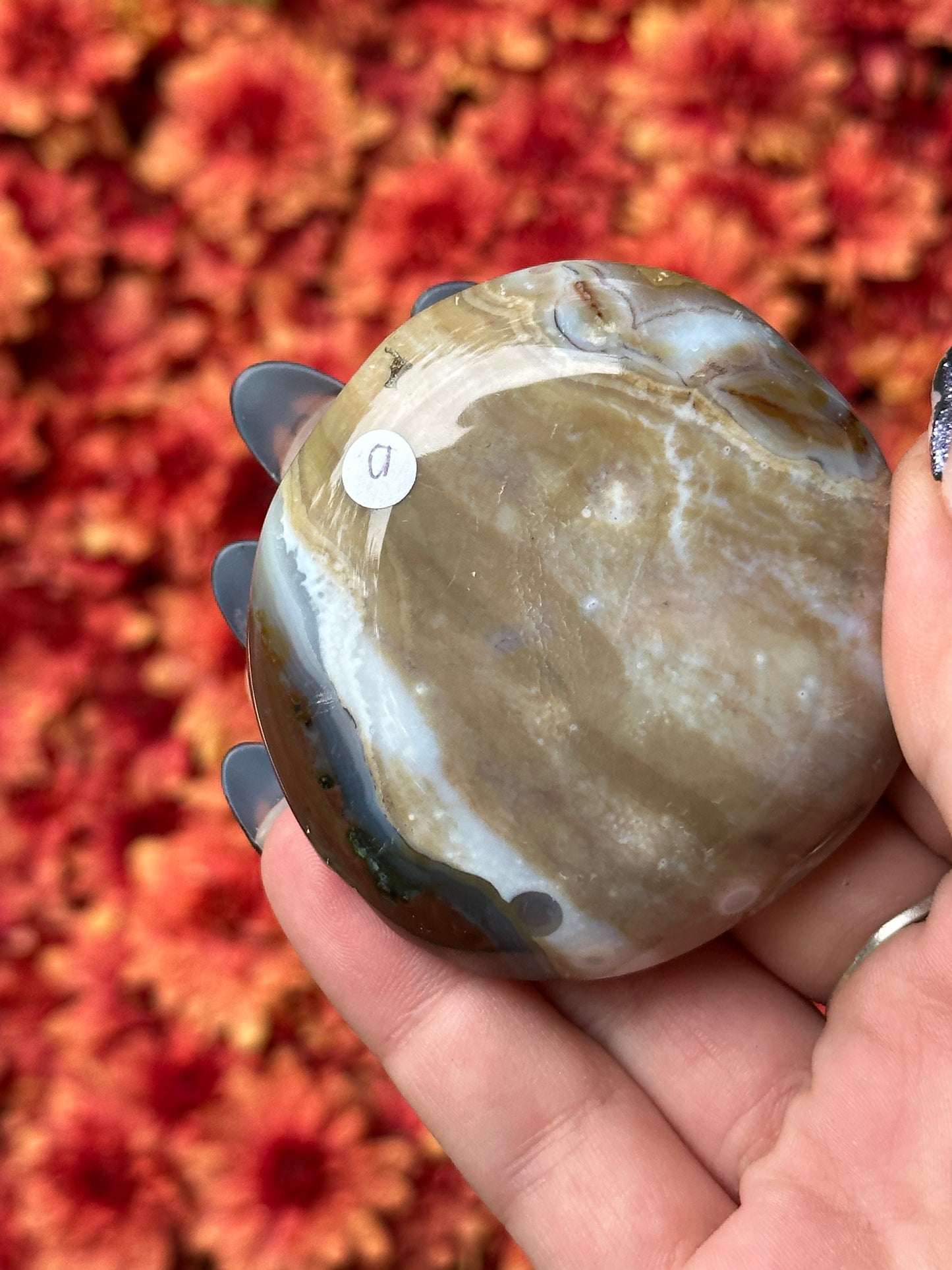 Ocean Jasper Palmstone- 8th Vein