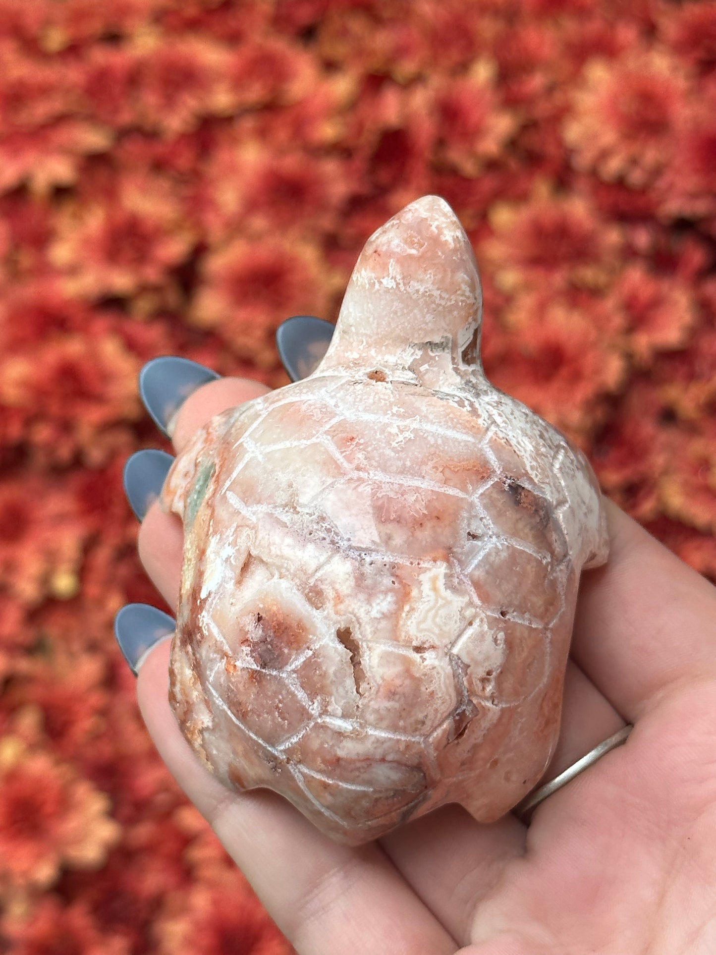 Pink crazy lace agate turtle