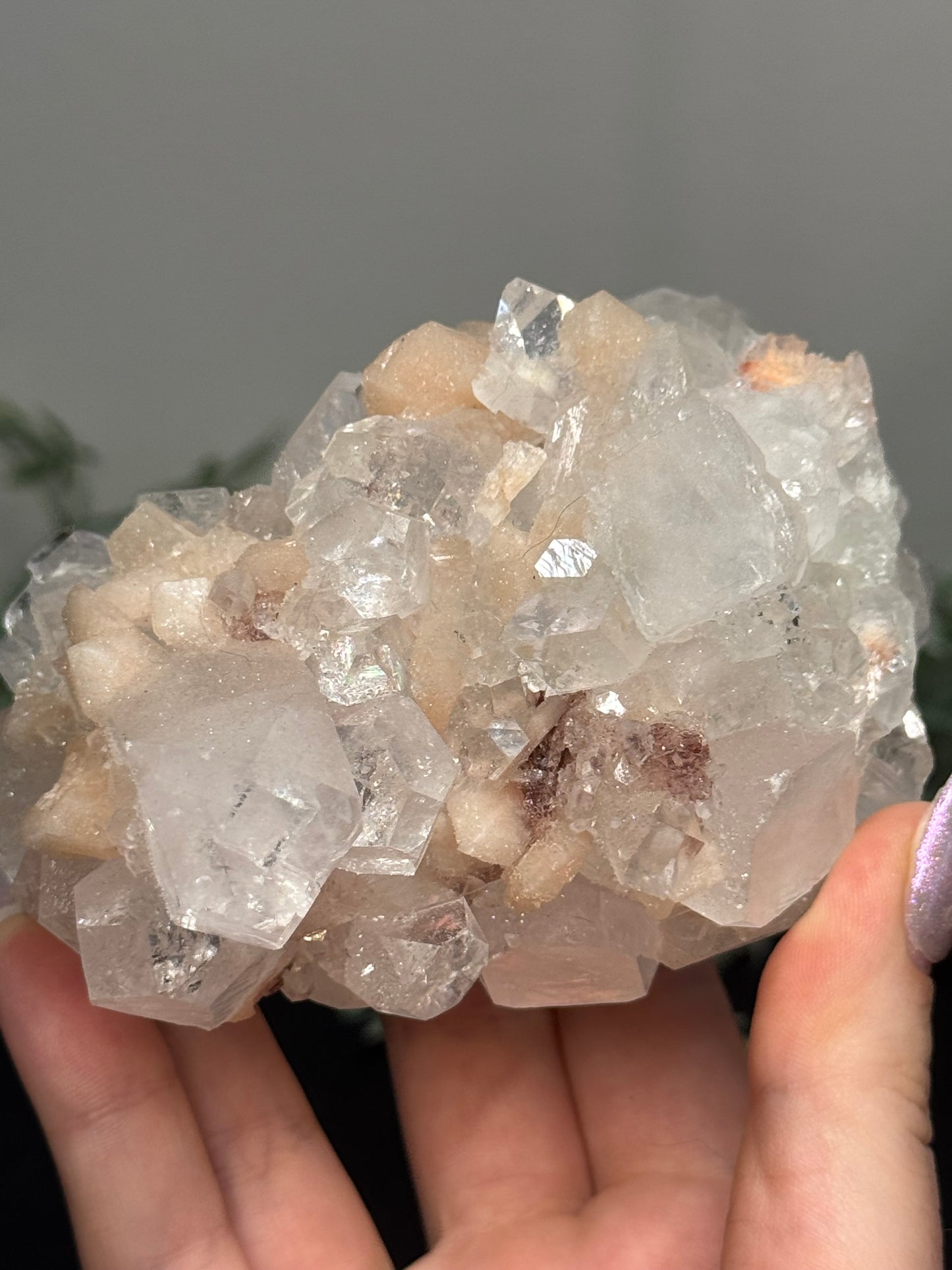 Sugary diamond Apophyllite with peach Stilbite - India