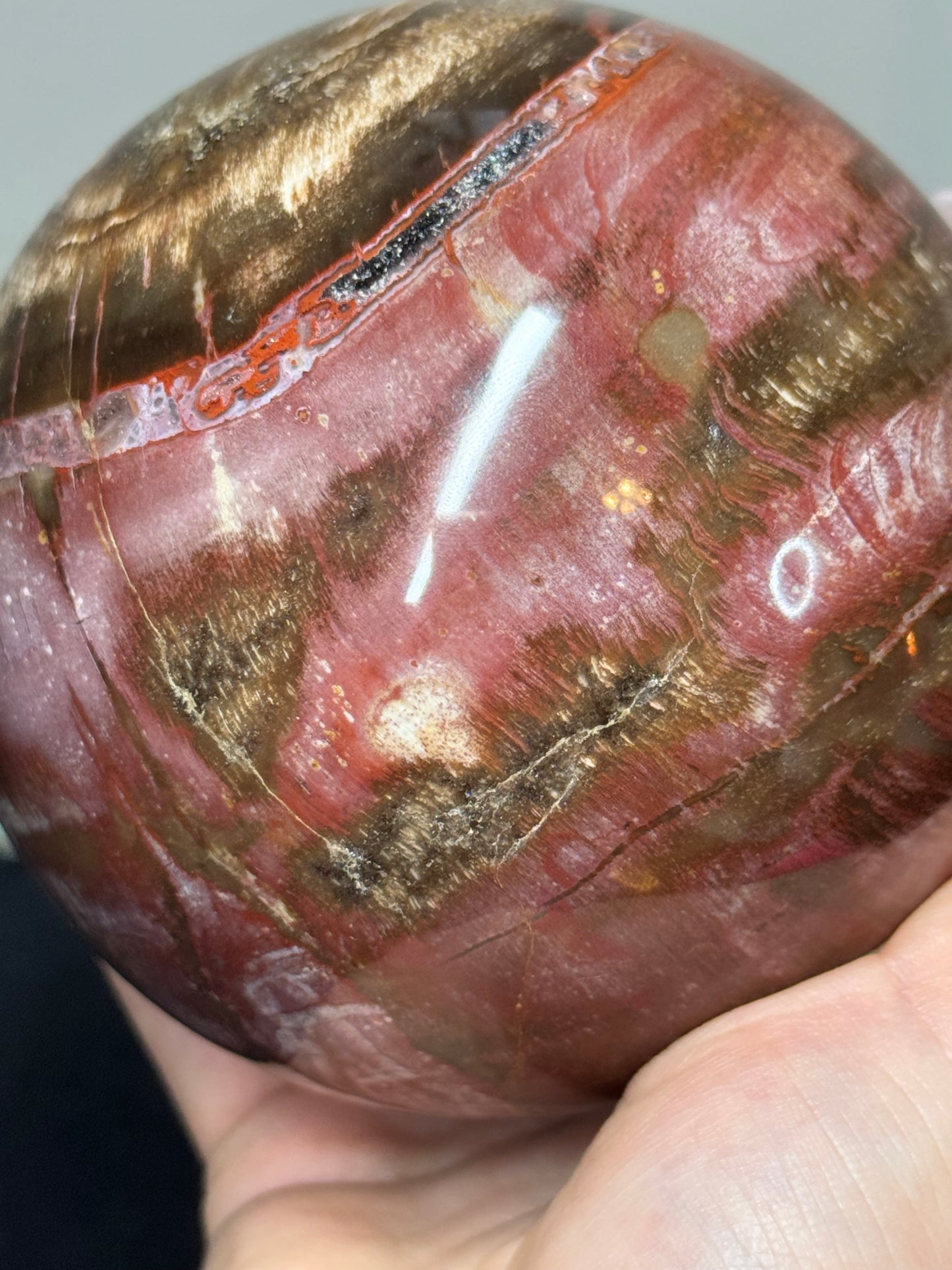 XL pink petrified wood sphere