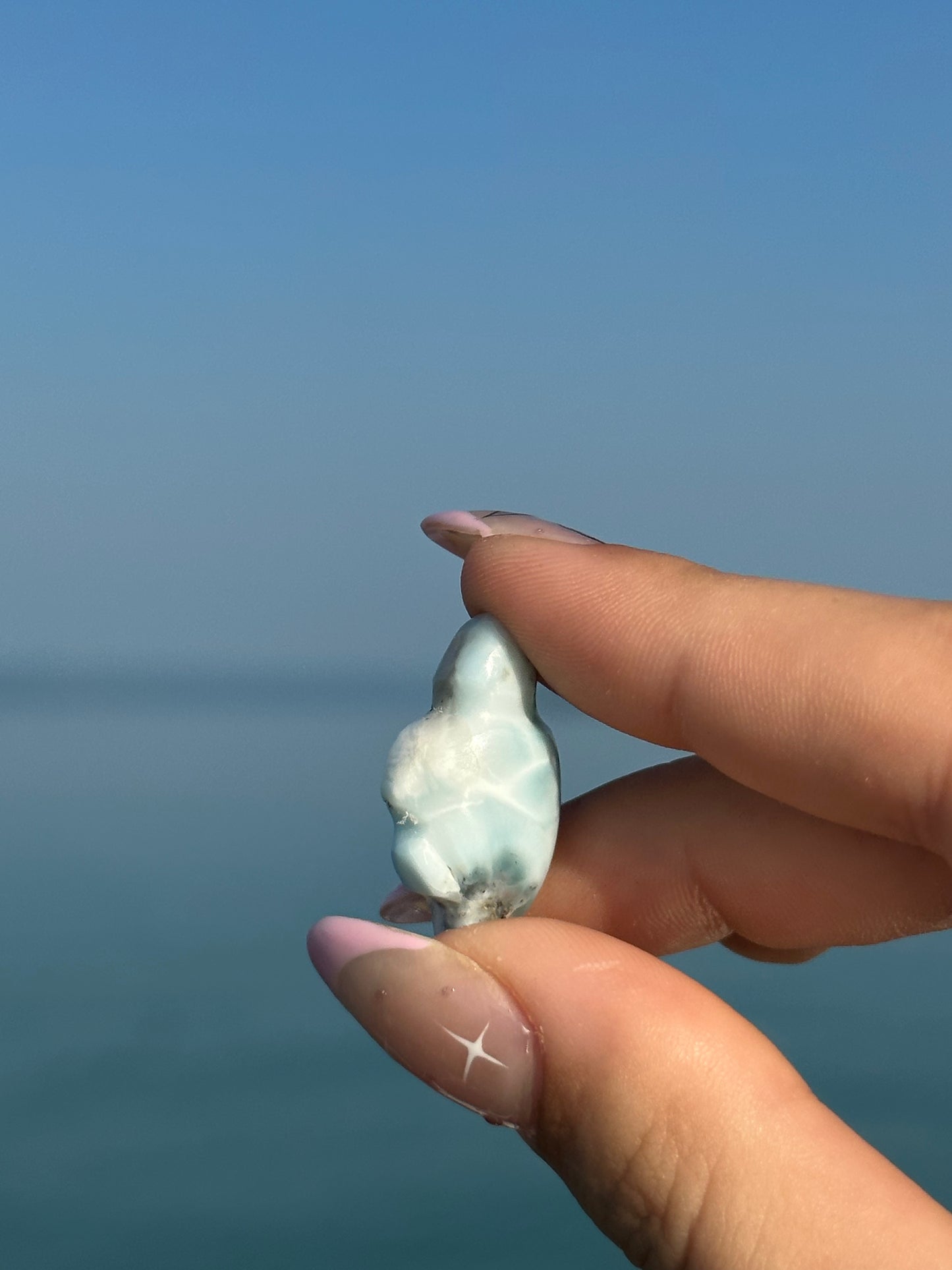 Larimar turtle