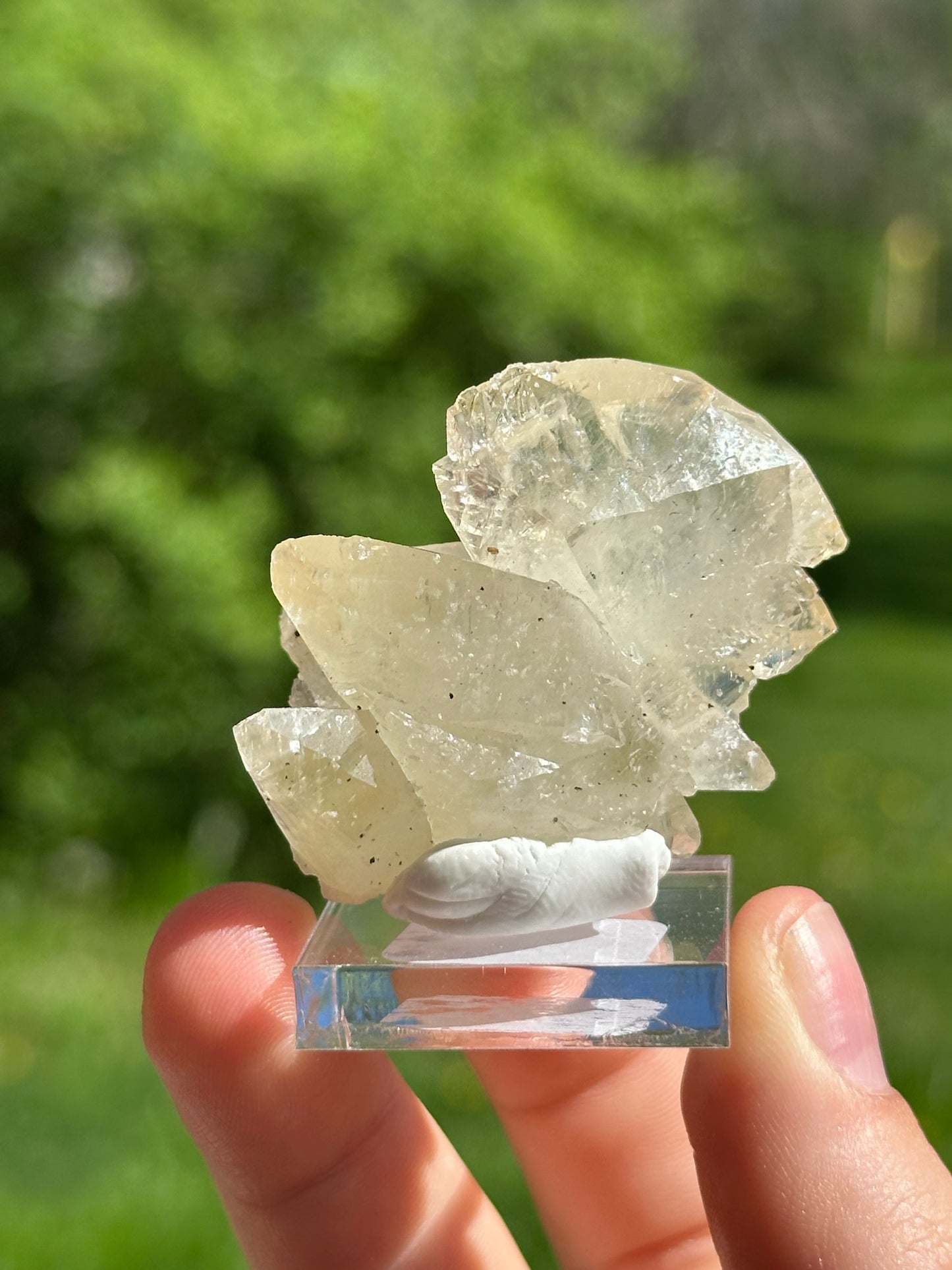 Elmwood calcite