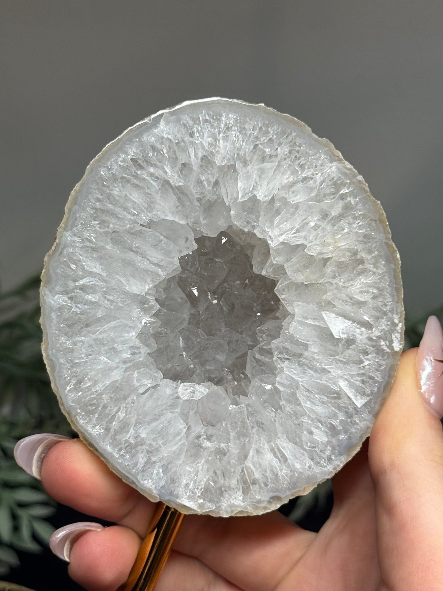 Agate geode half on gold stand