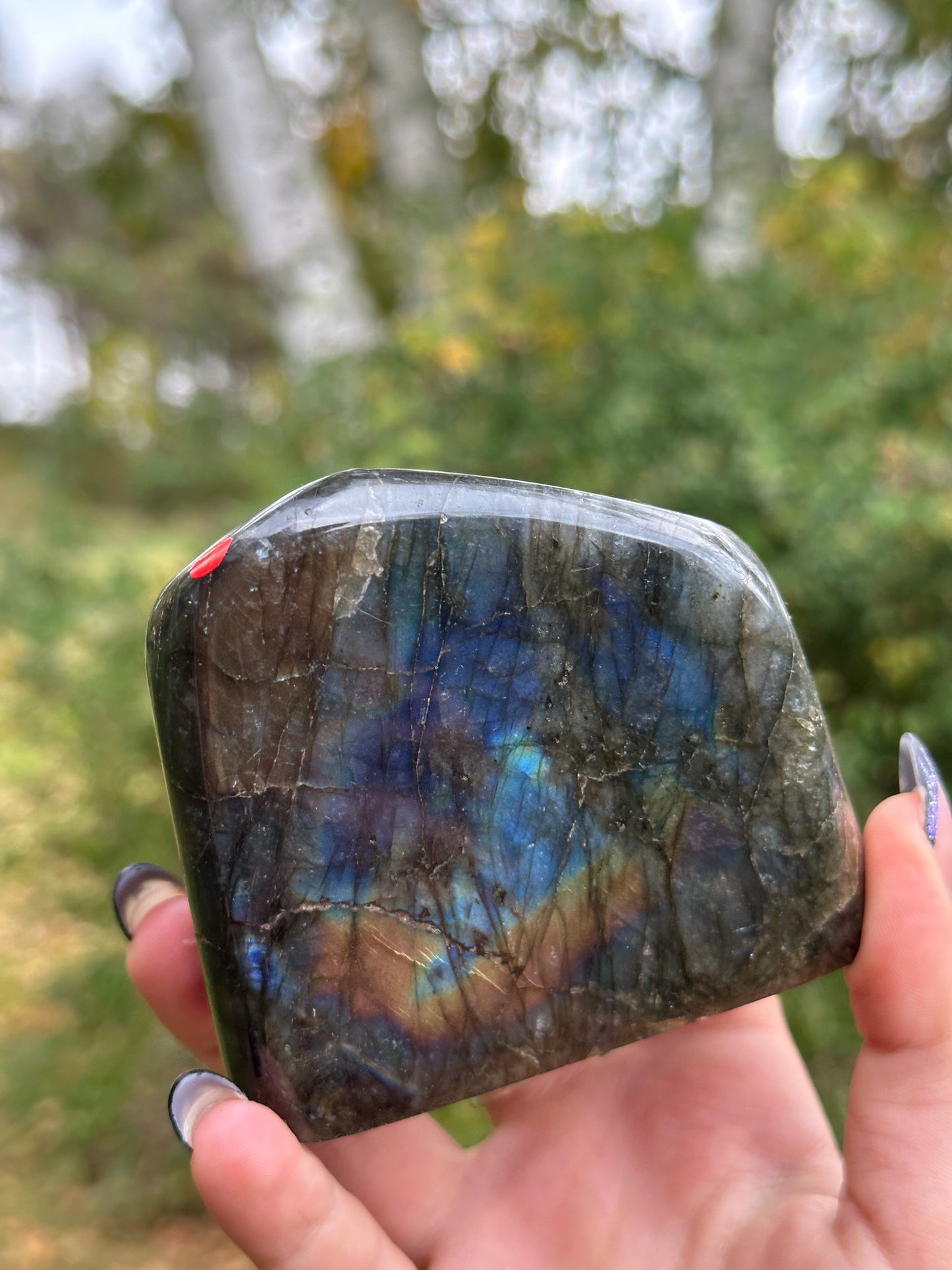 Labradorite Freeform