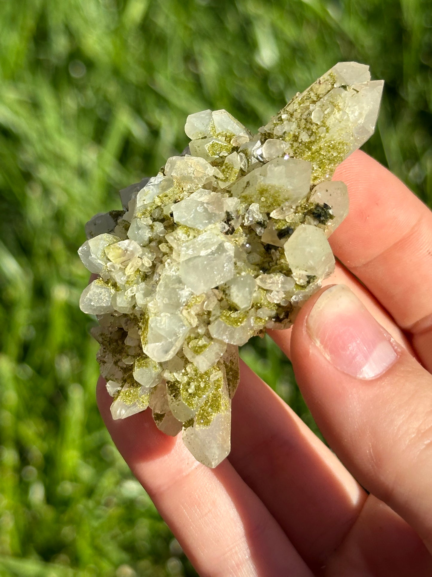 Epidote and Quartz