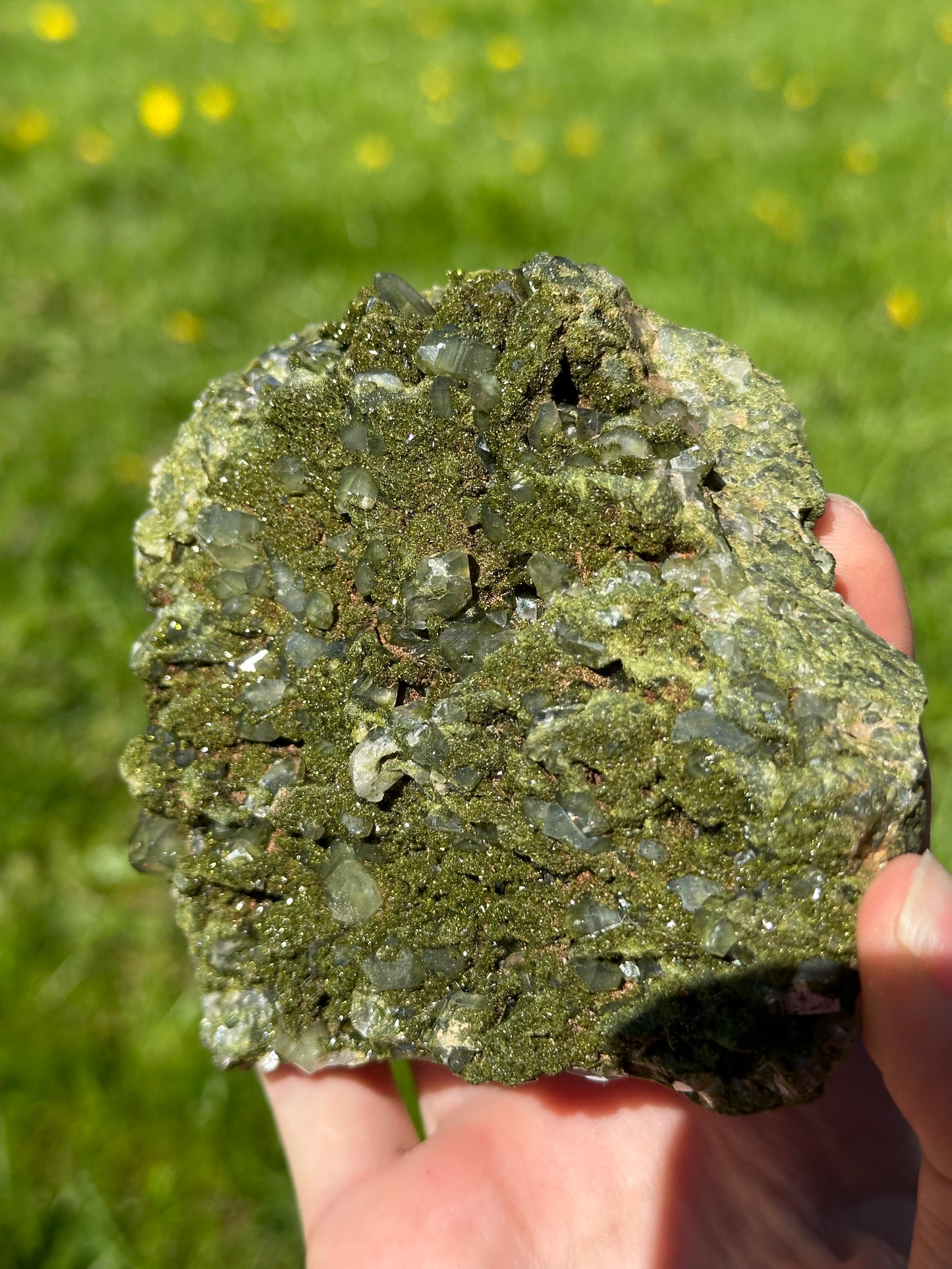 Forest epidote