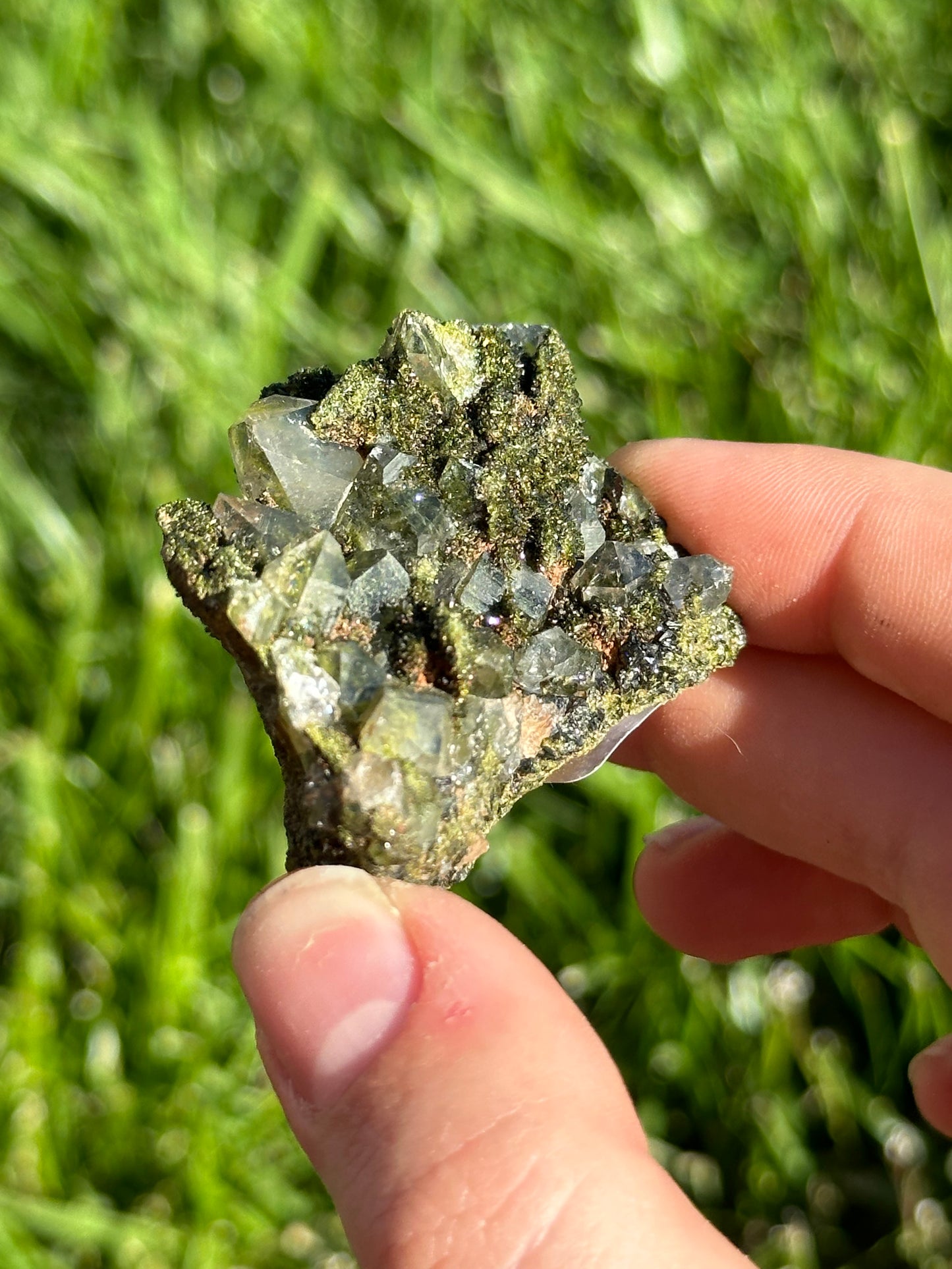 Forest epidote
