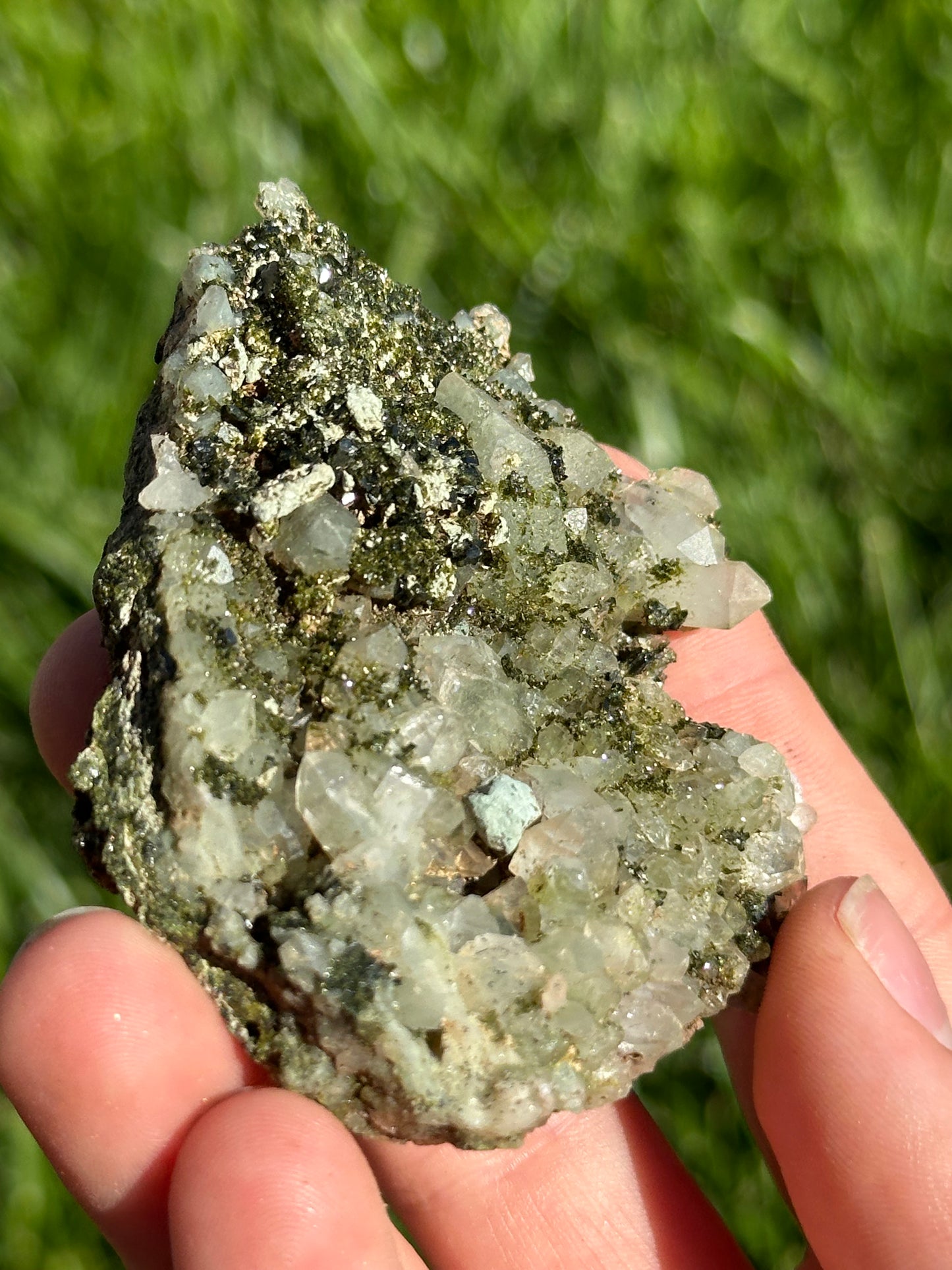 Forest Epidote