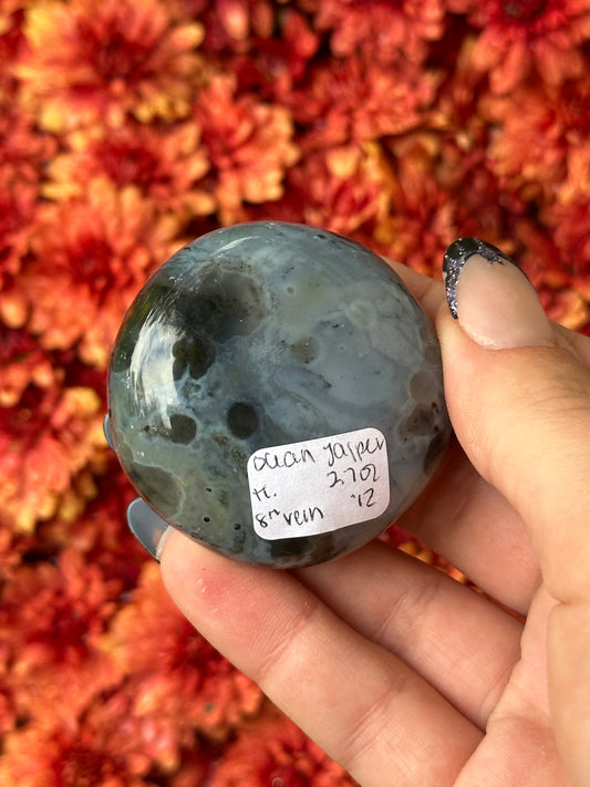Ocean Jasper Palmstone- 8th Vein