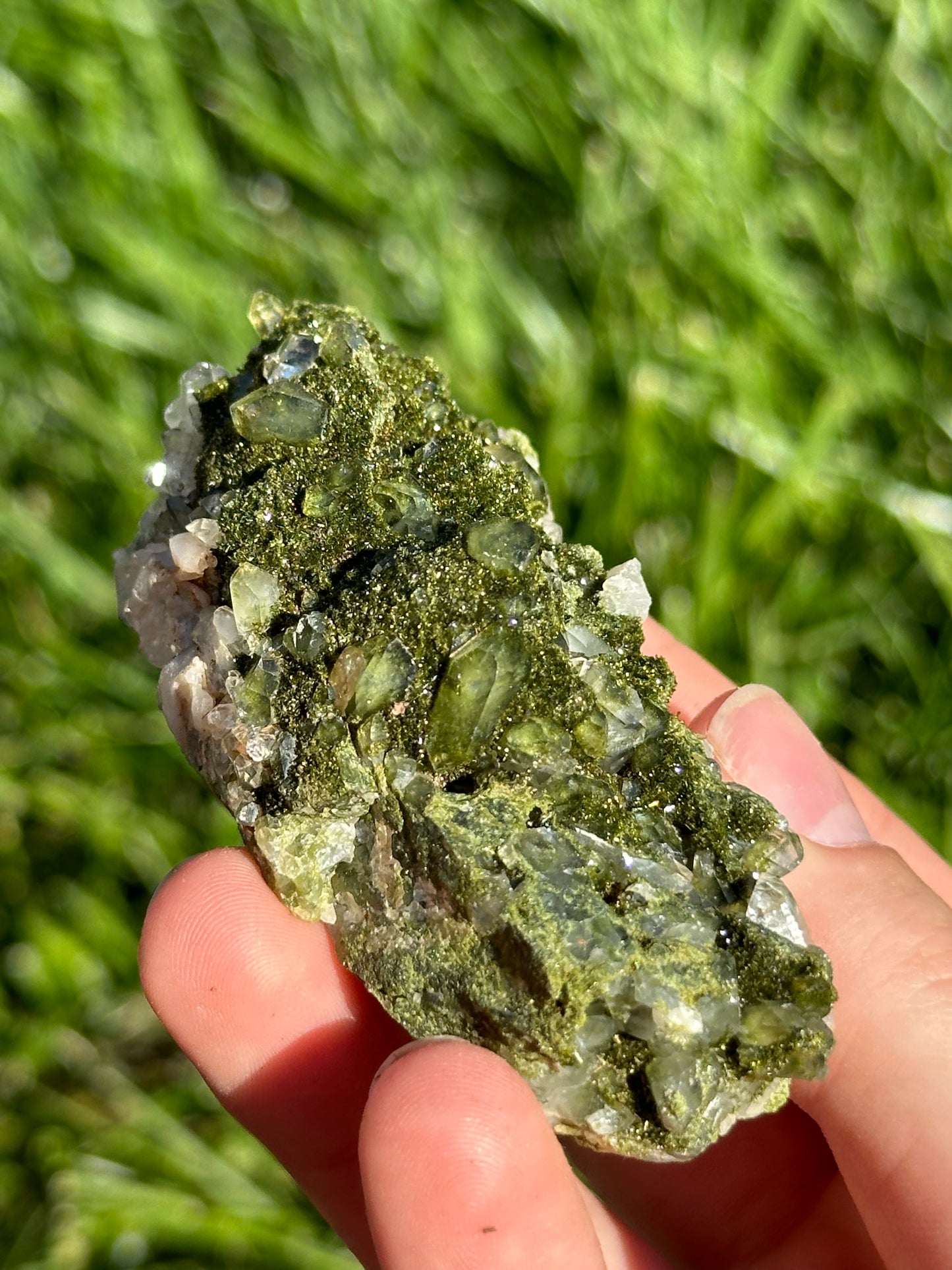 Forest Epidote