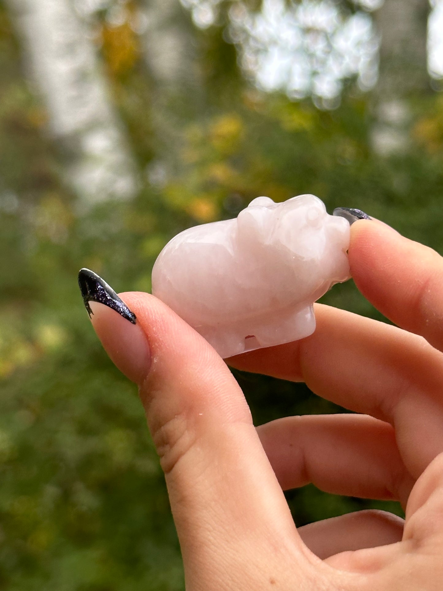 Rose Quartz Mini Pig