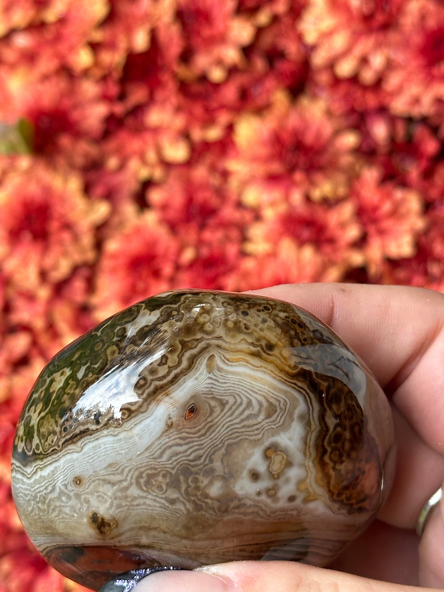 Sardonyx Palmstone