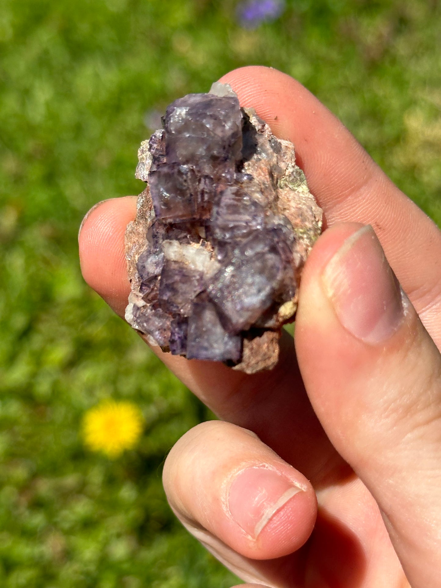 Colorado fluorite