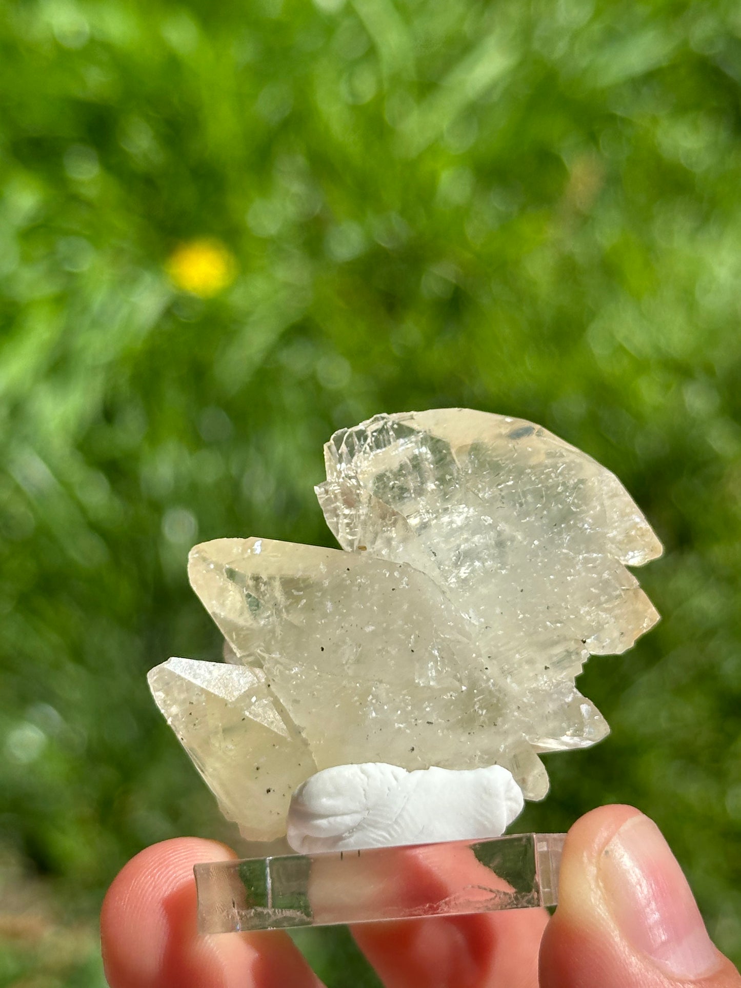 Elmwood calcite