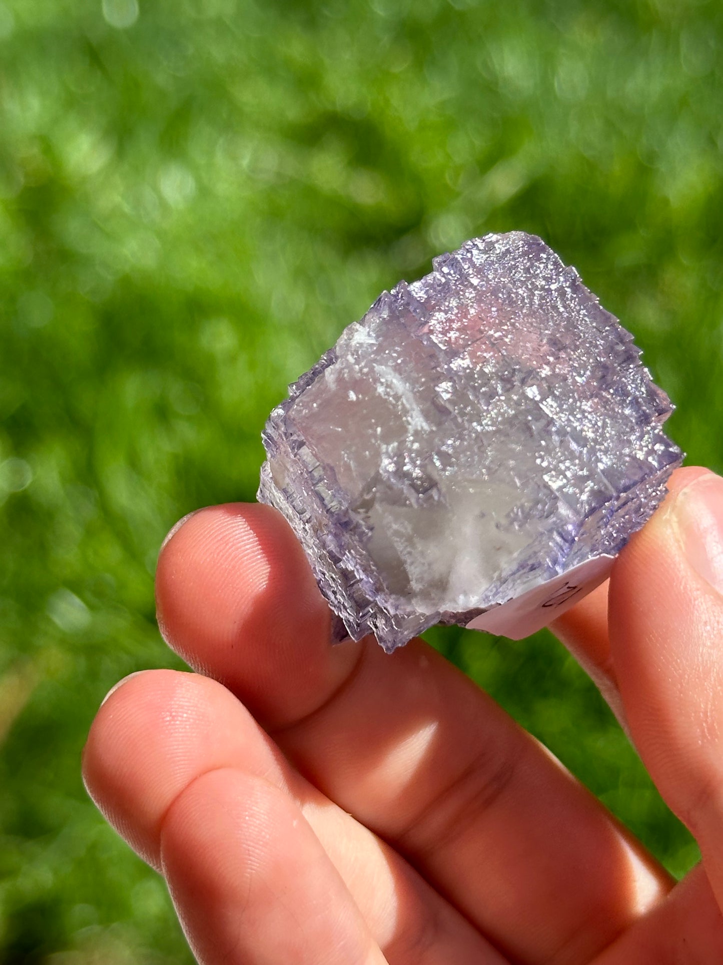 Elmwood fluorite with dolomite and sphalerite