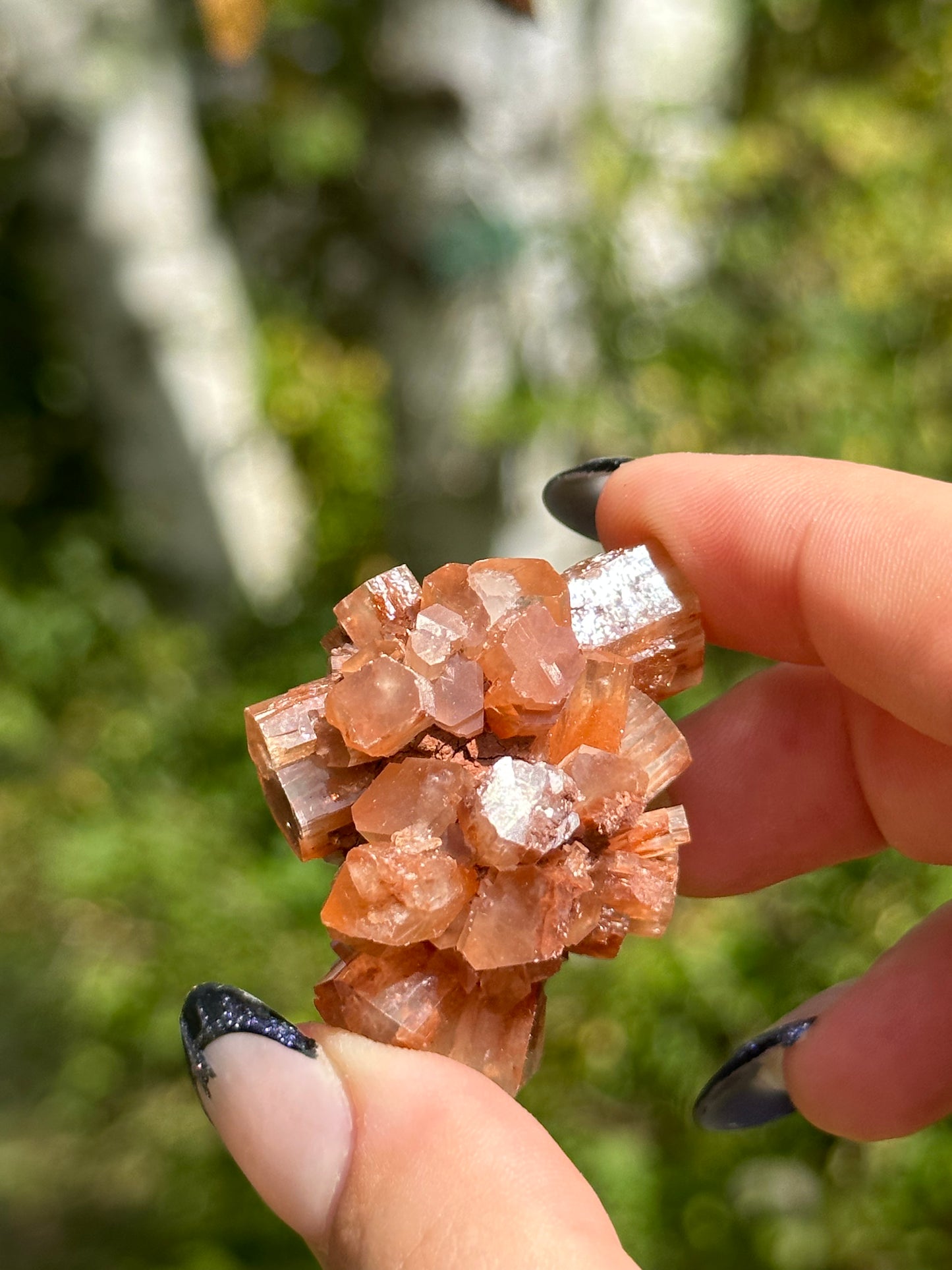 Aragonite