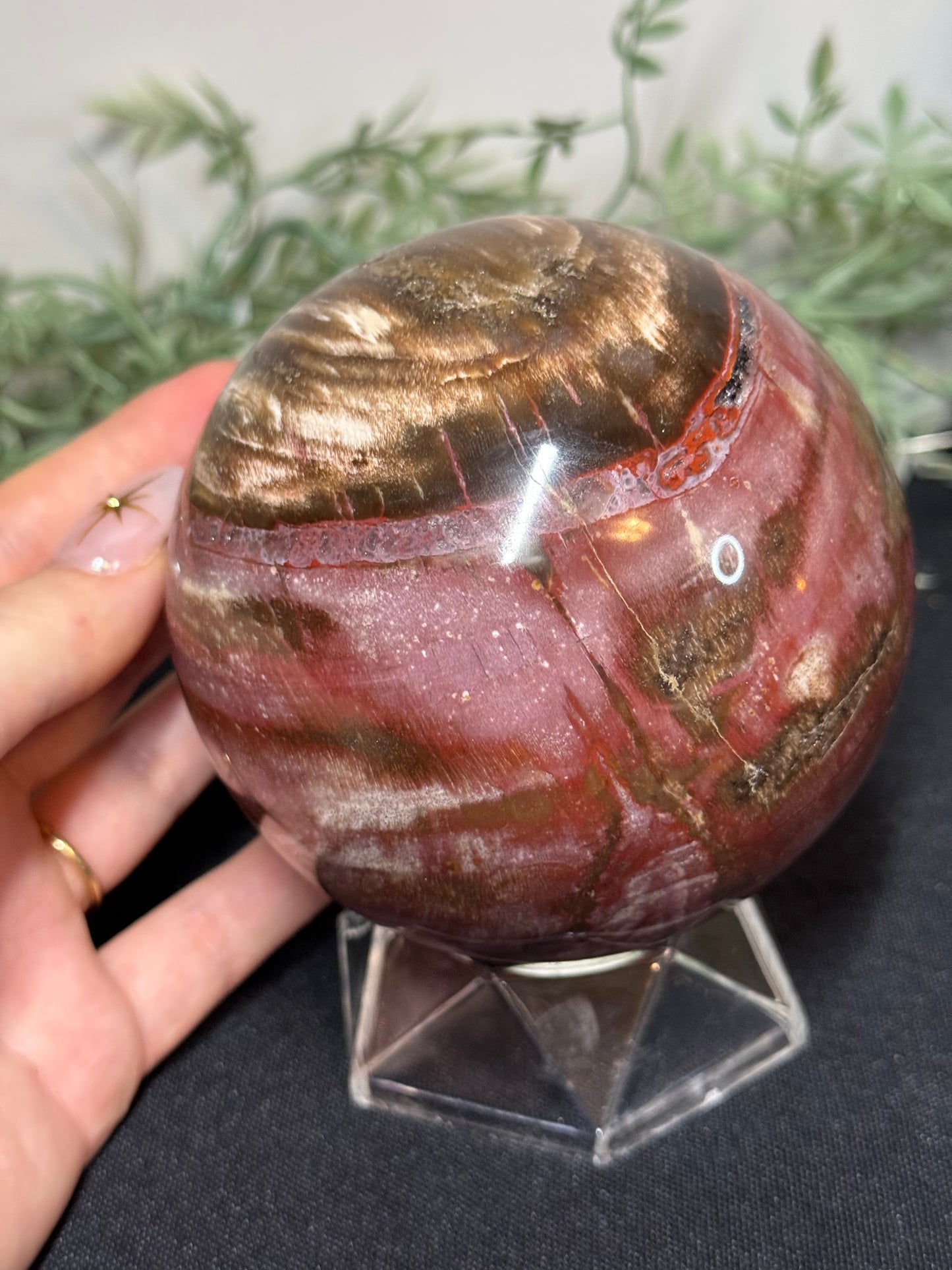 XL pink petrified wood sphere