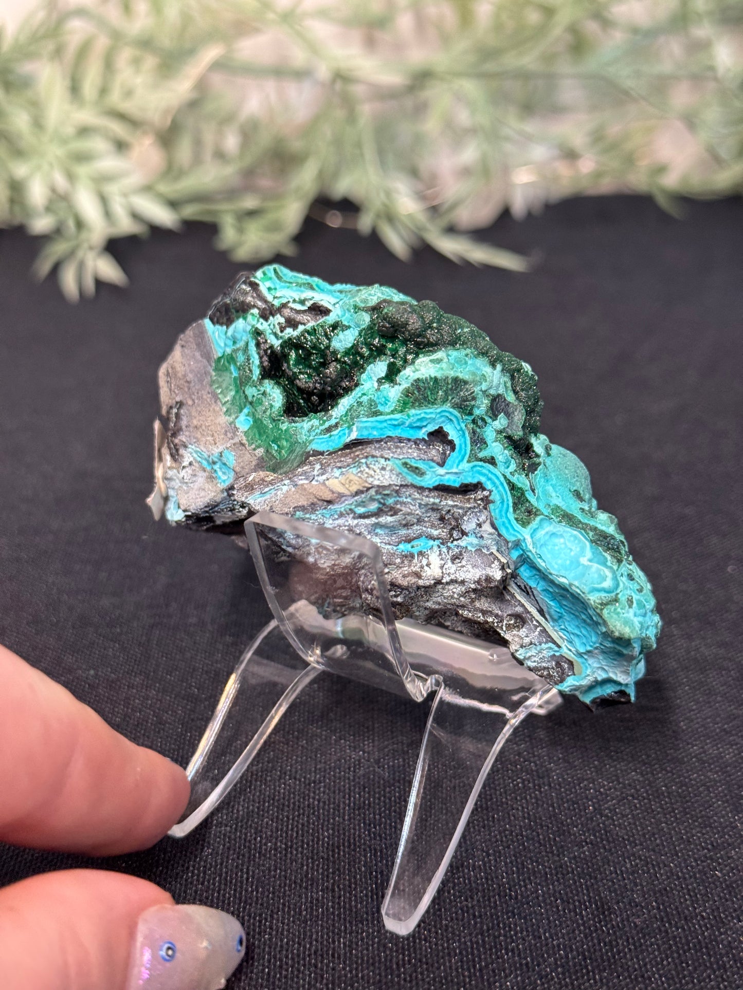 Malachite, Chrysocholla - Zaire