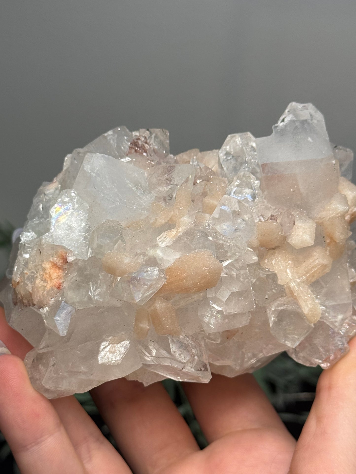 Sugary diamond Apophyllite with peach Stilbite - India