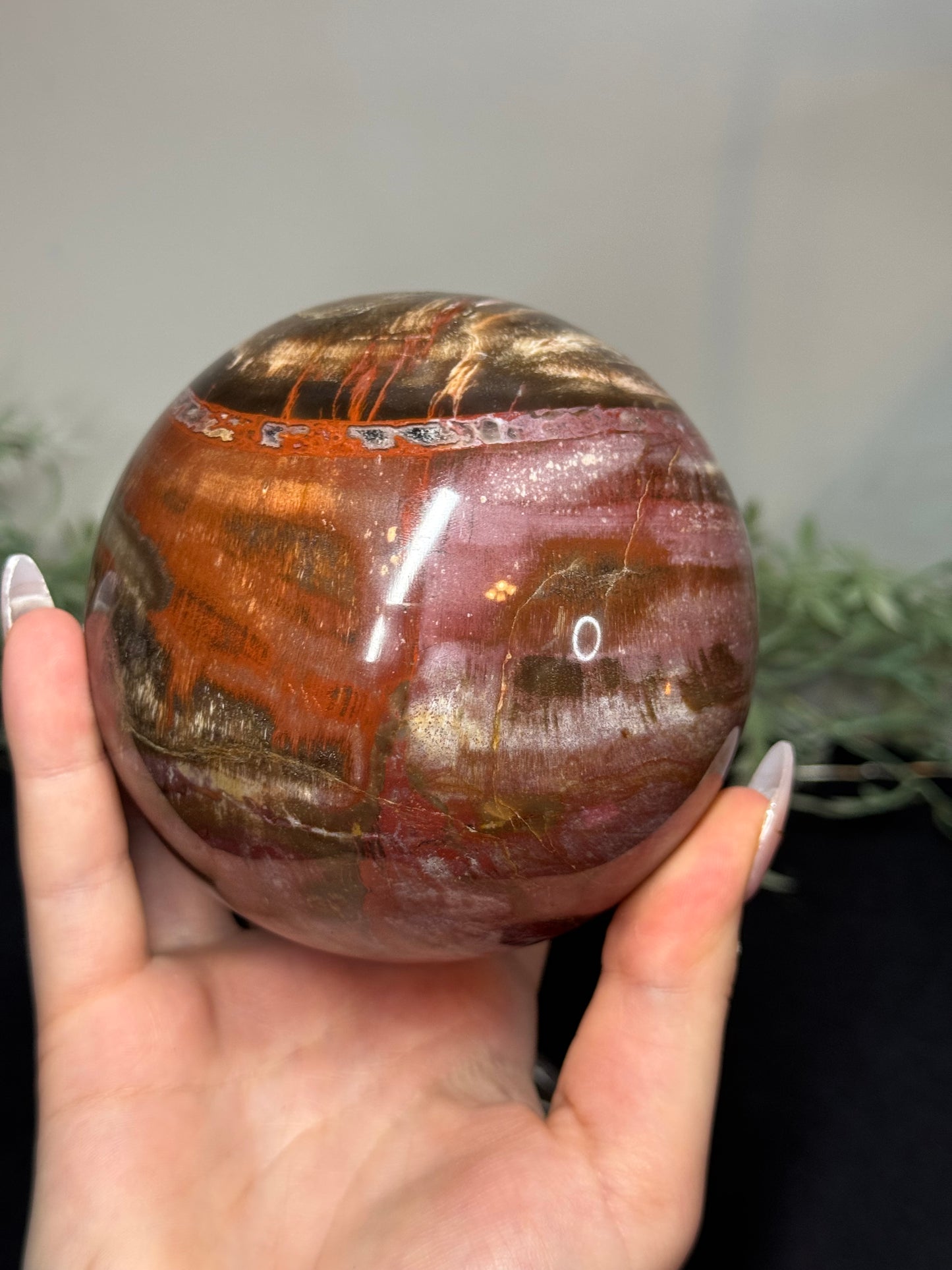 XL pink petrified wood sphere