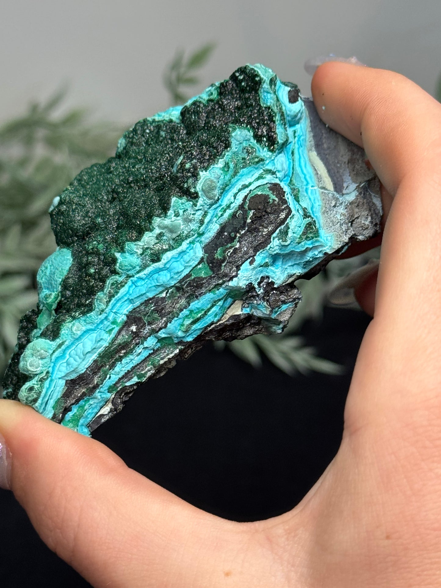 Malachite, Chrysocholla - Zaire