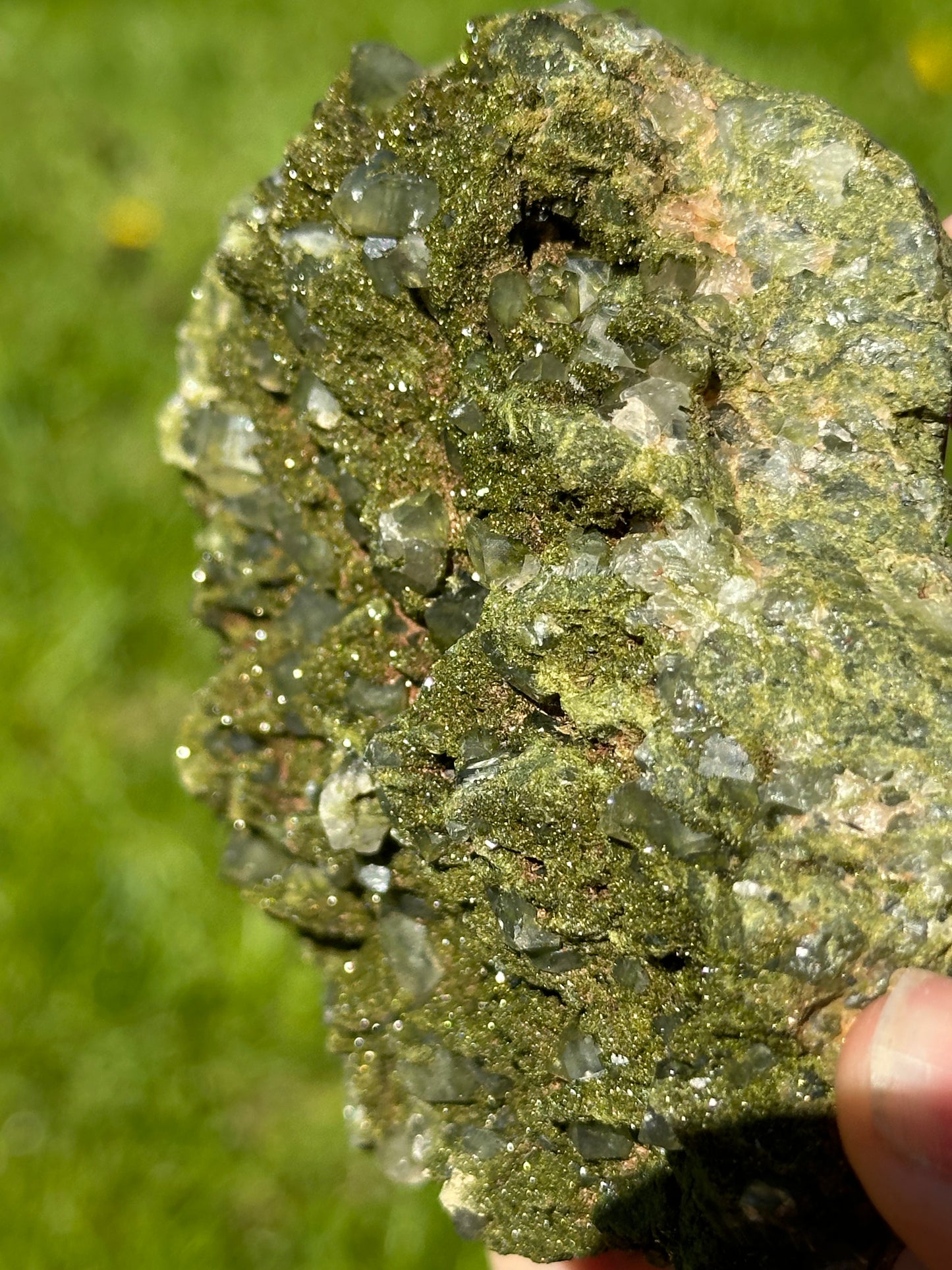 Forest epidote