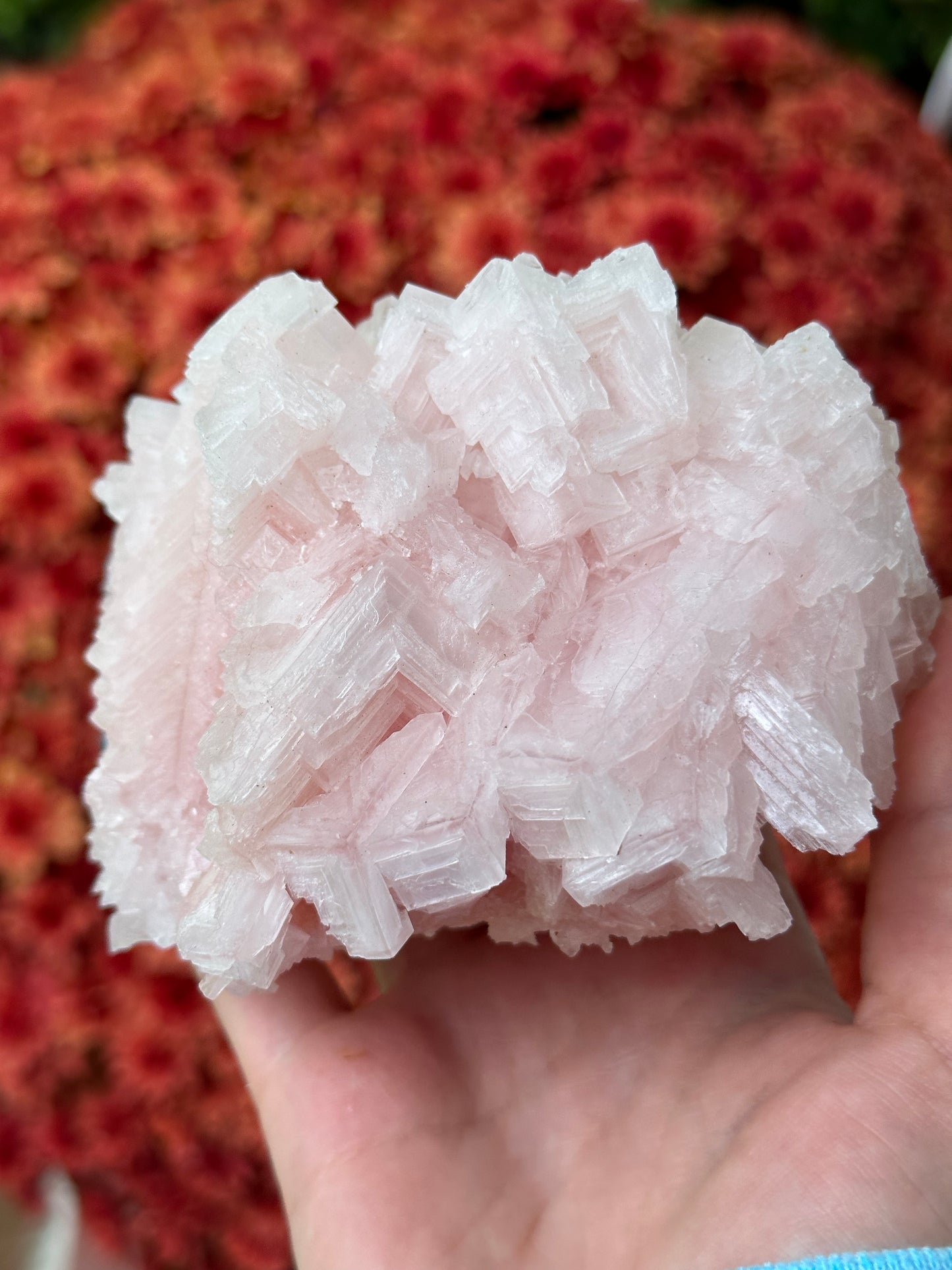 Pink Halite