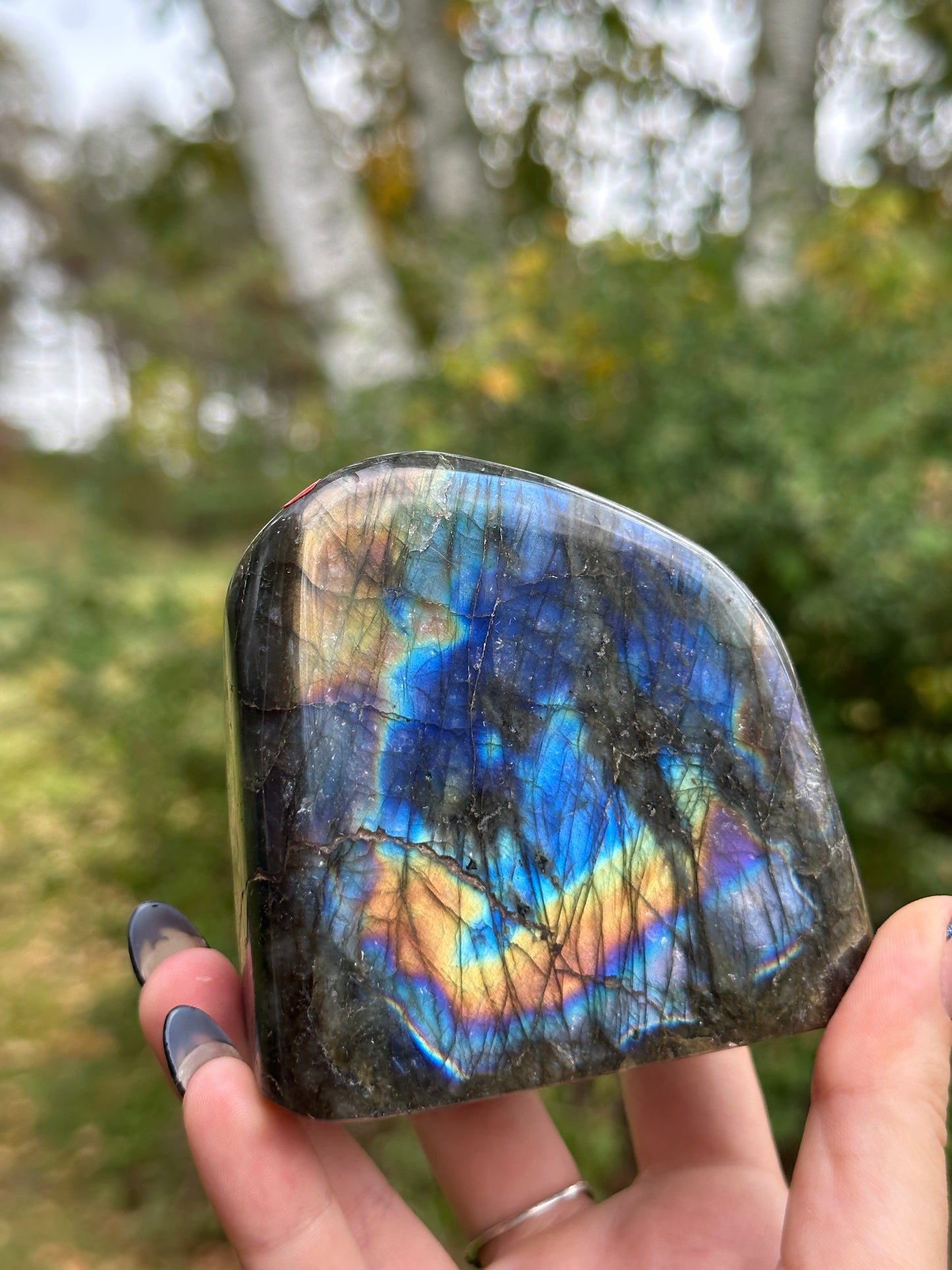Labradorite Freeform