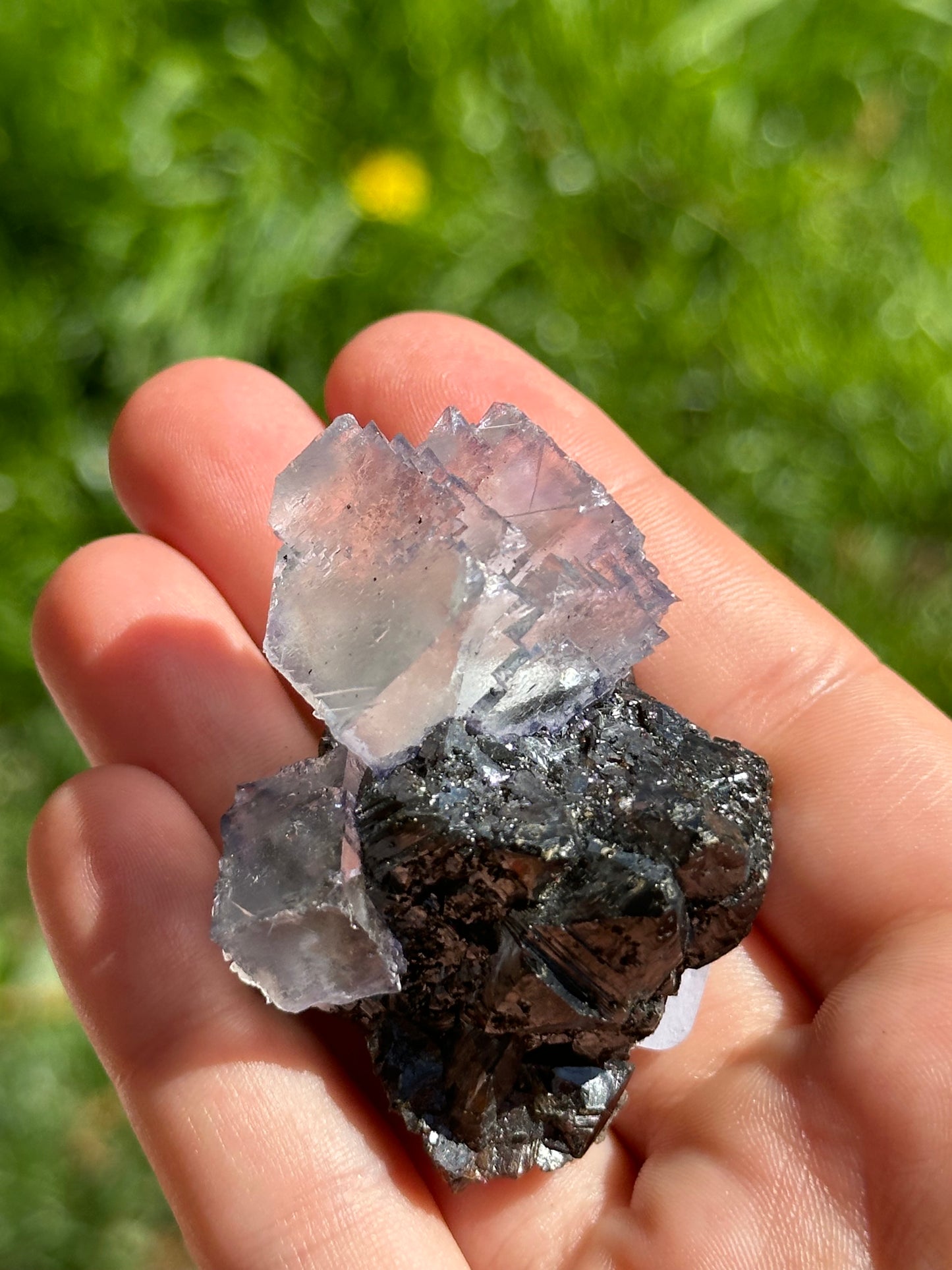 Elmwood fluorite on sphalerite