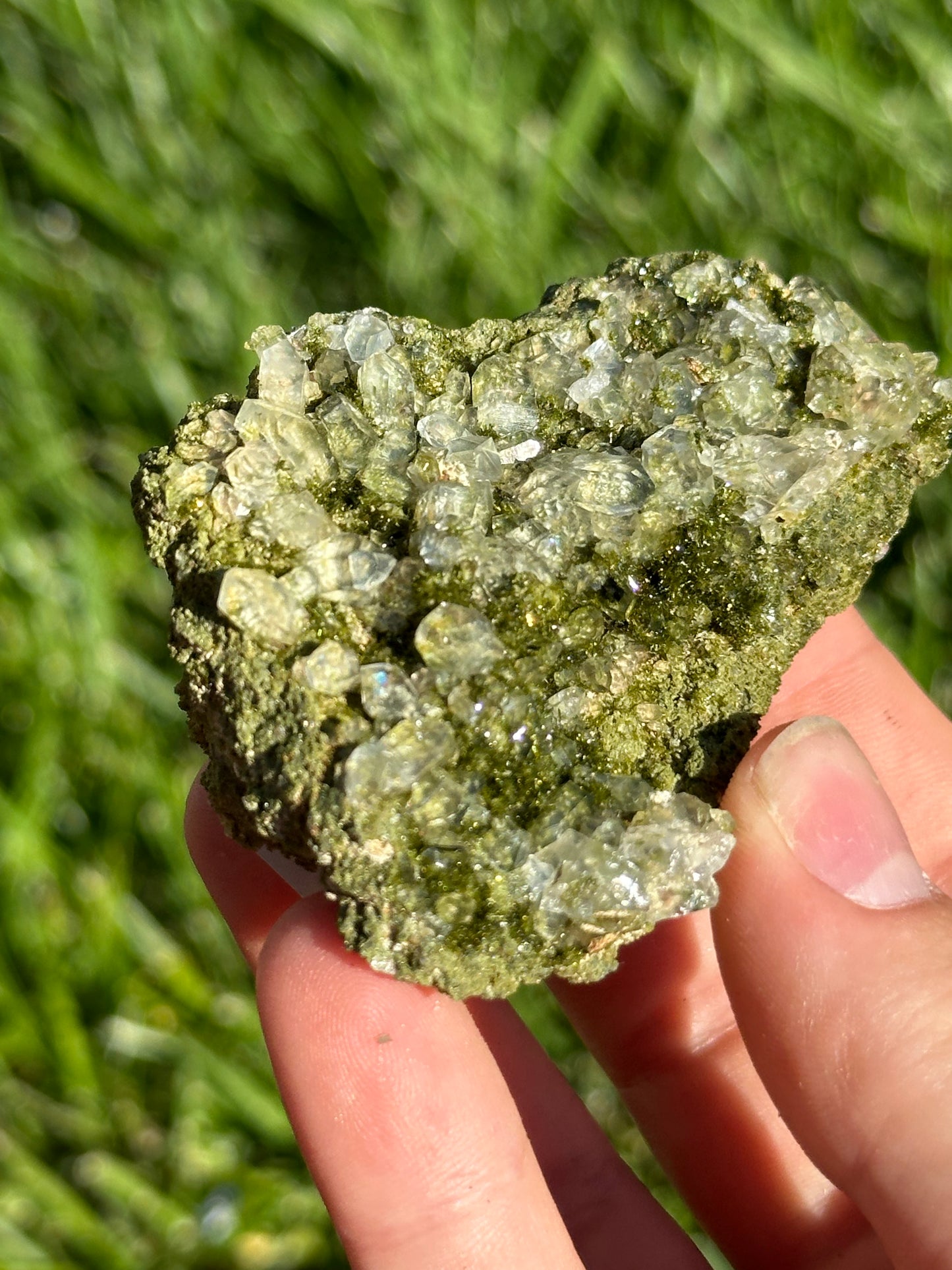 Forest epidote