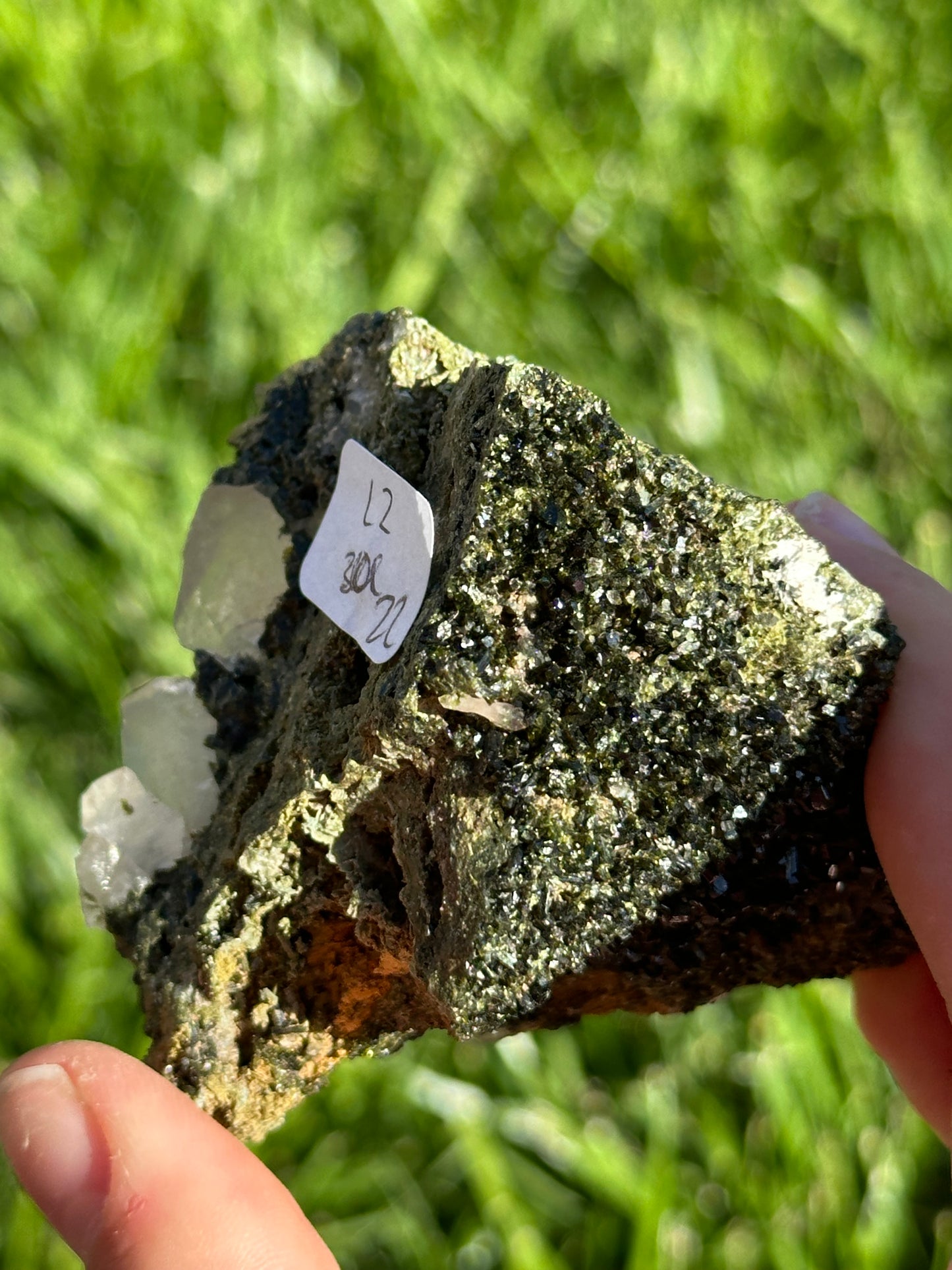 Dark epidote and quartz