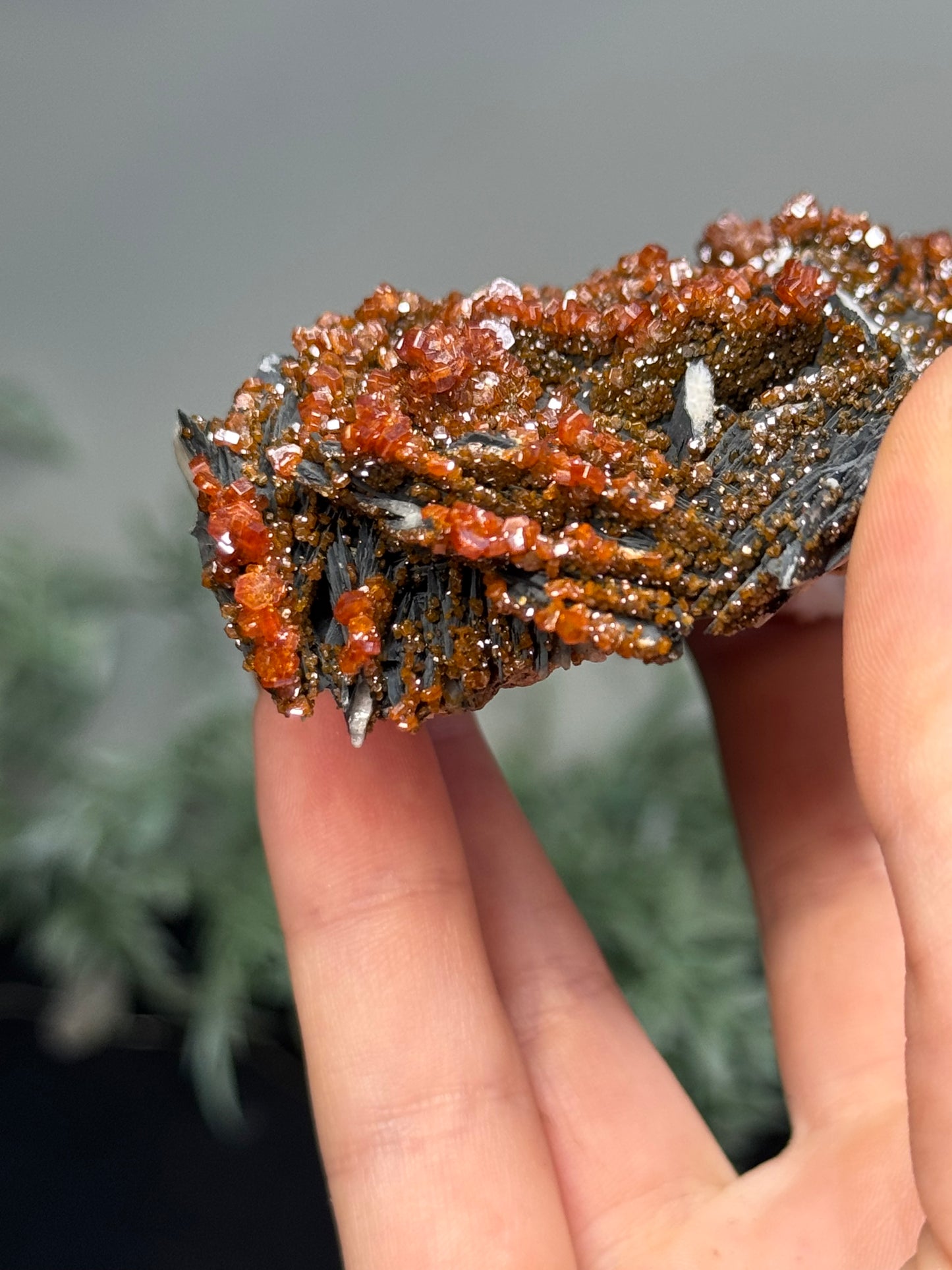 Vanadinite on black barite- Morocco