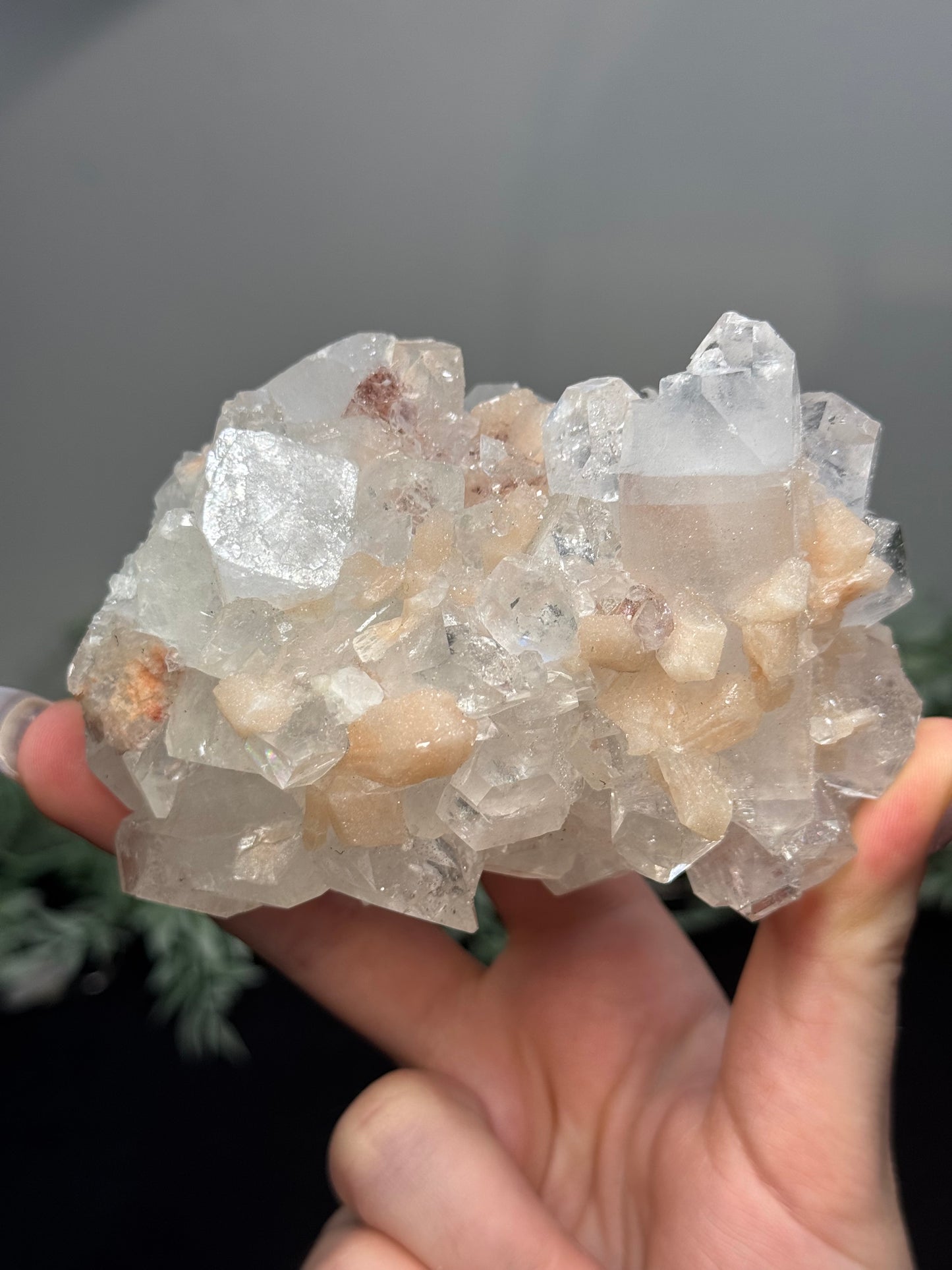 Sugary diamond Apophyllite with peach Stilbite - India