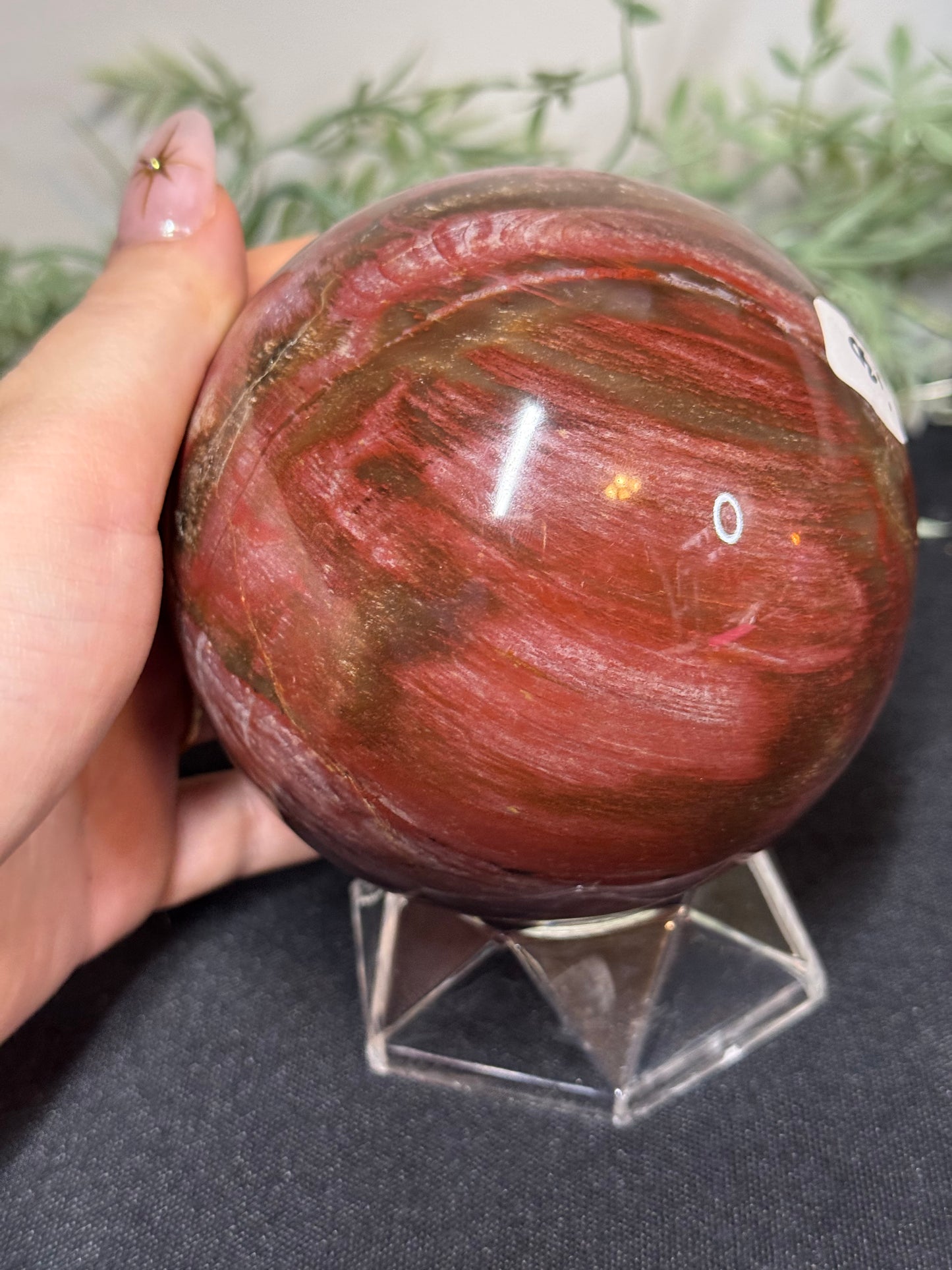 XL pink petrified wood sphere