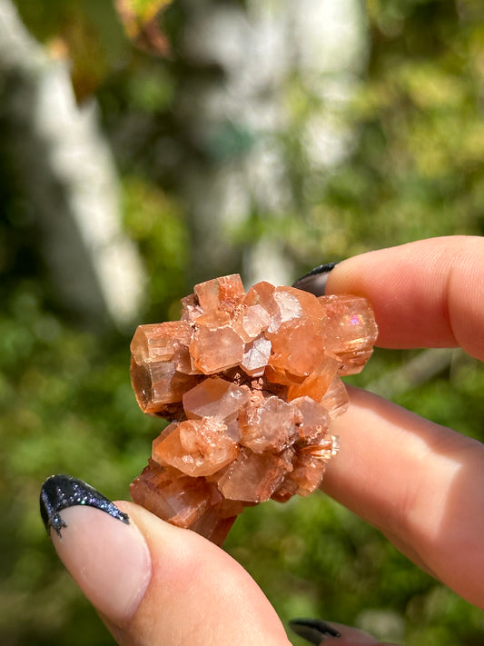 Aragonite
