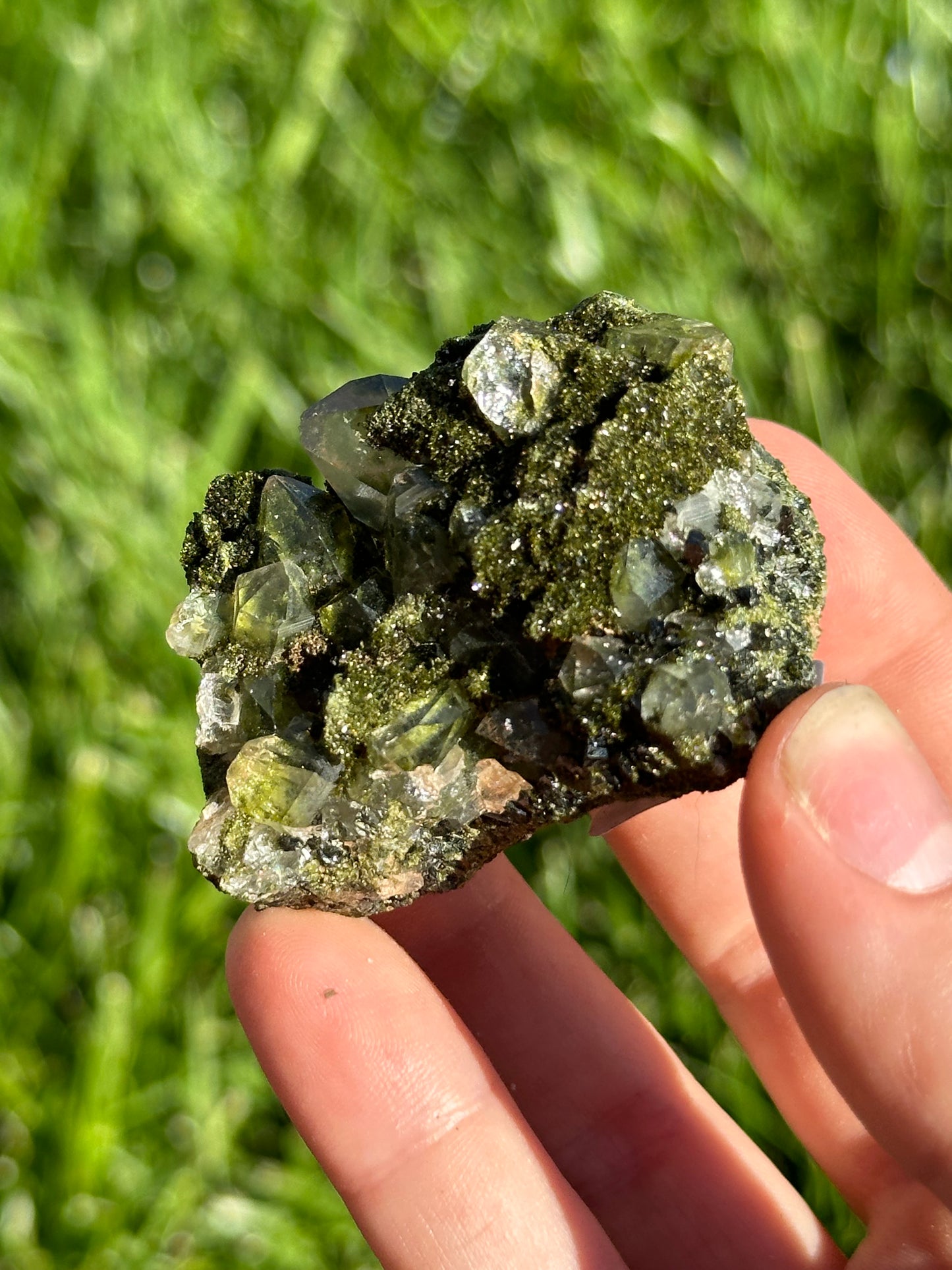 Forest epidote