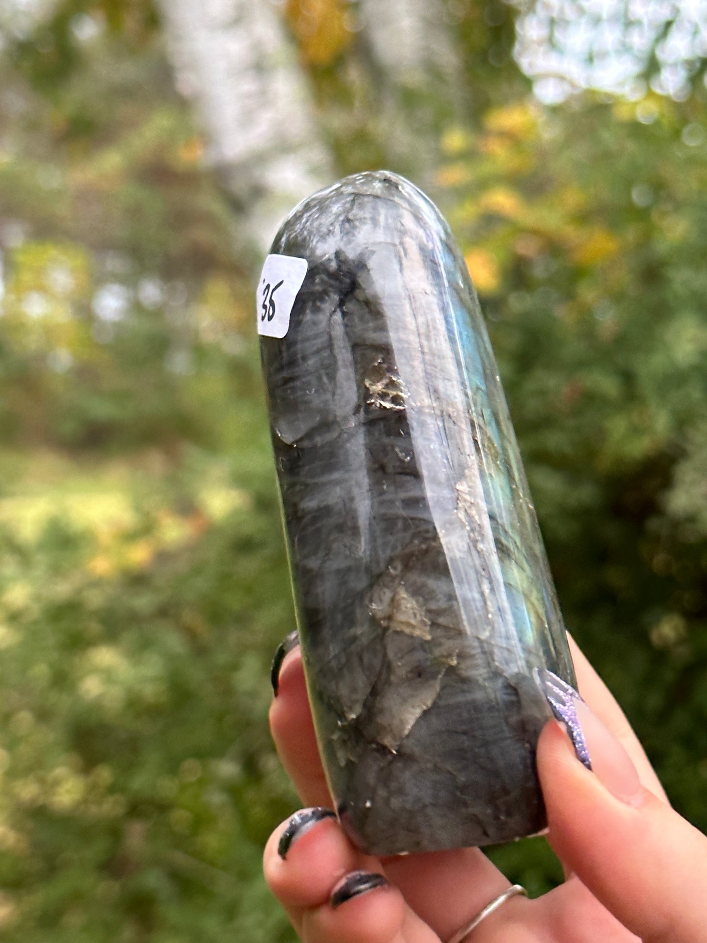 Labradorite Freeform