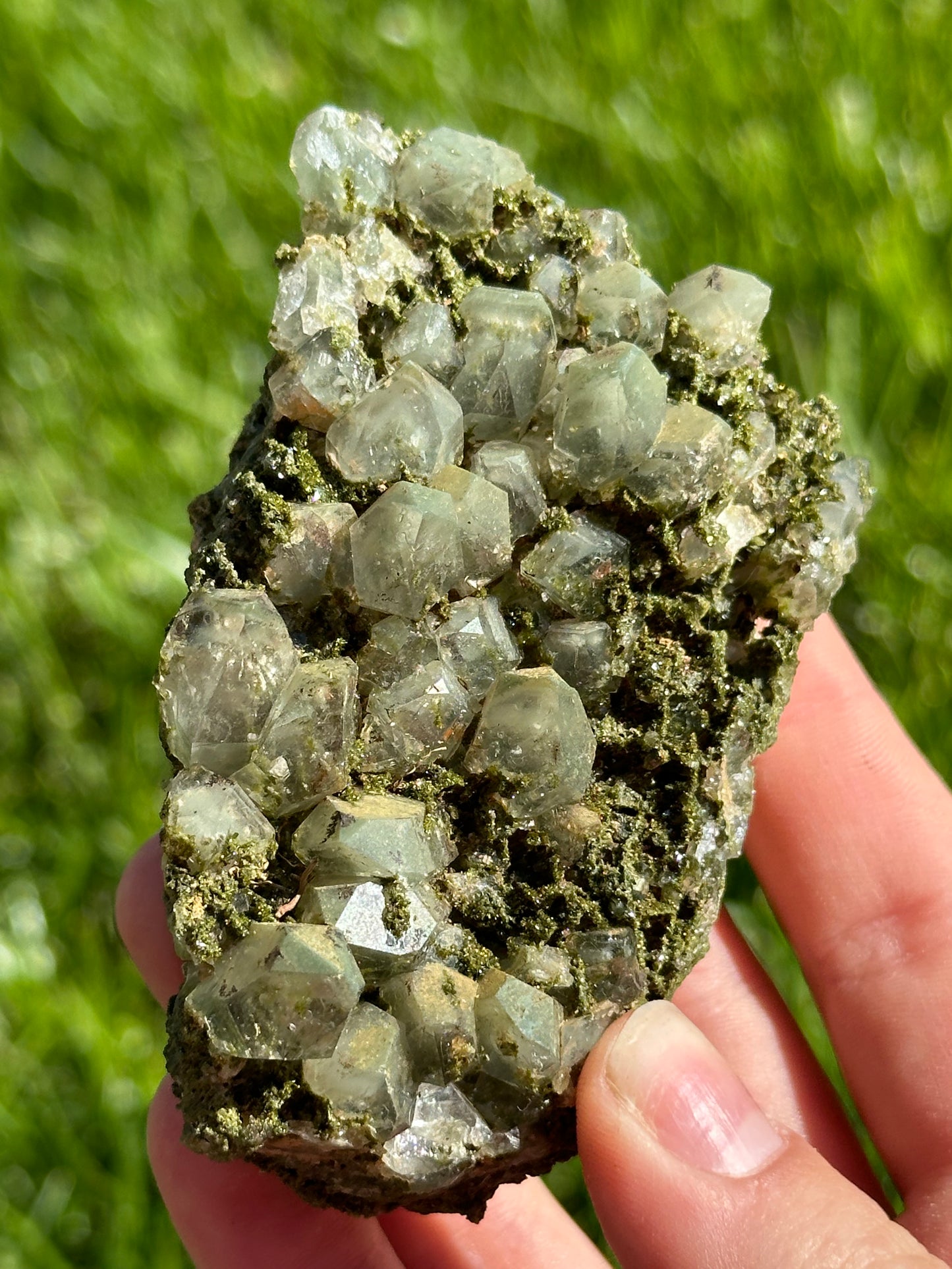 Phantom epidote and quartz