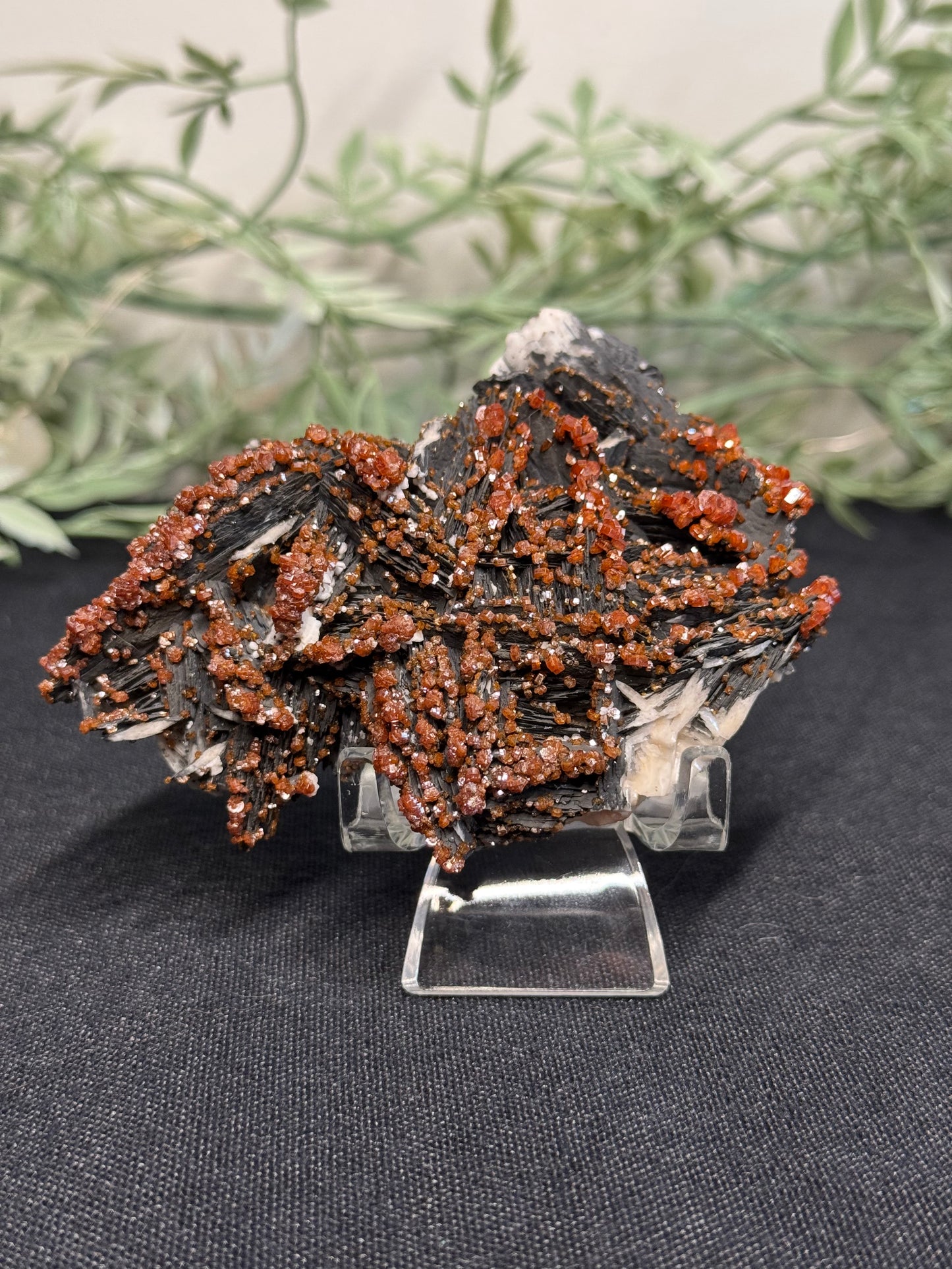 Vanadinite on black barite- Morocco